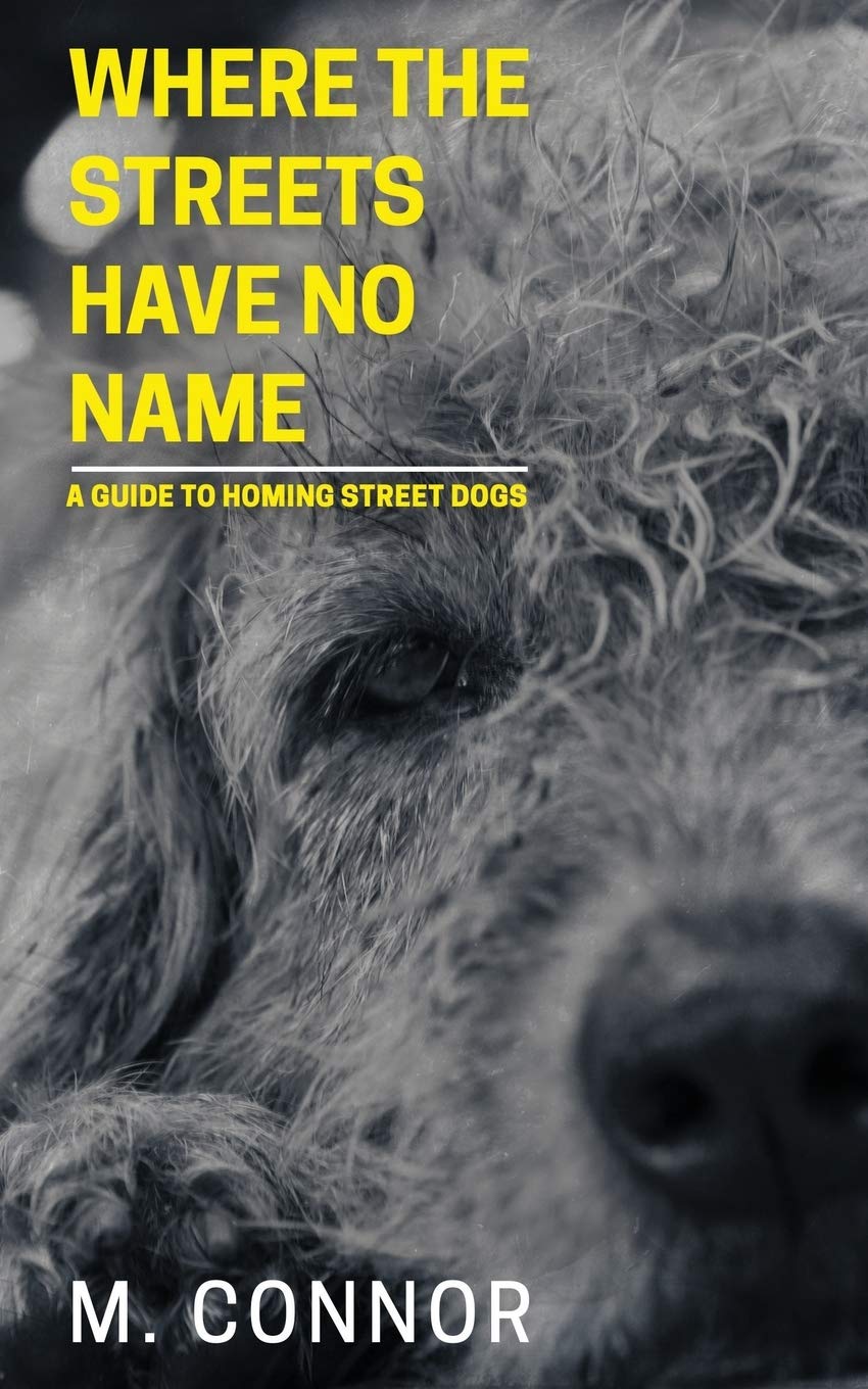 Where the streets have no name: A guide to street dog rescue book