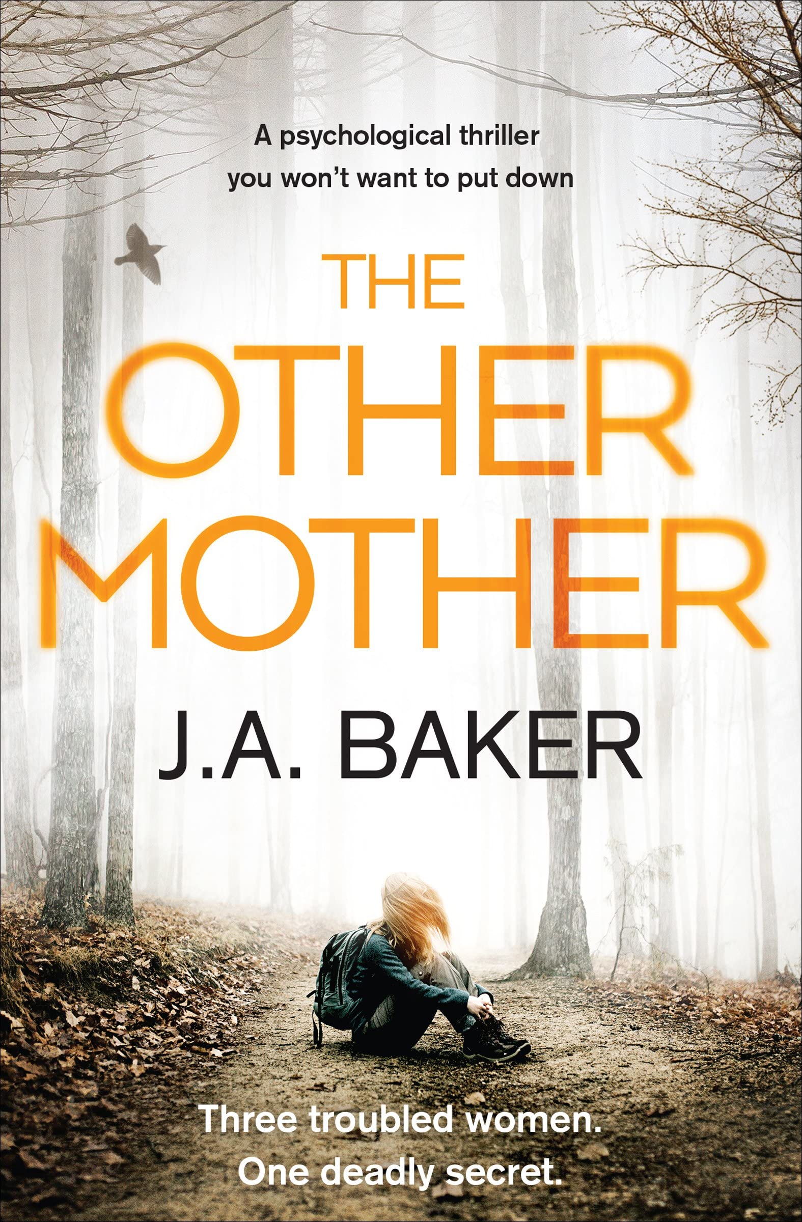 The Other Mother: A Psychological Thriller You Won't Want to Put Down Action & Adventure