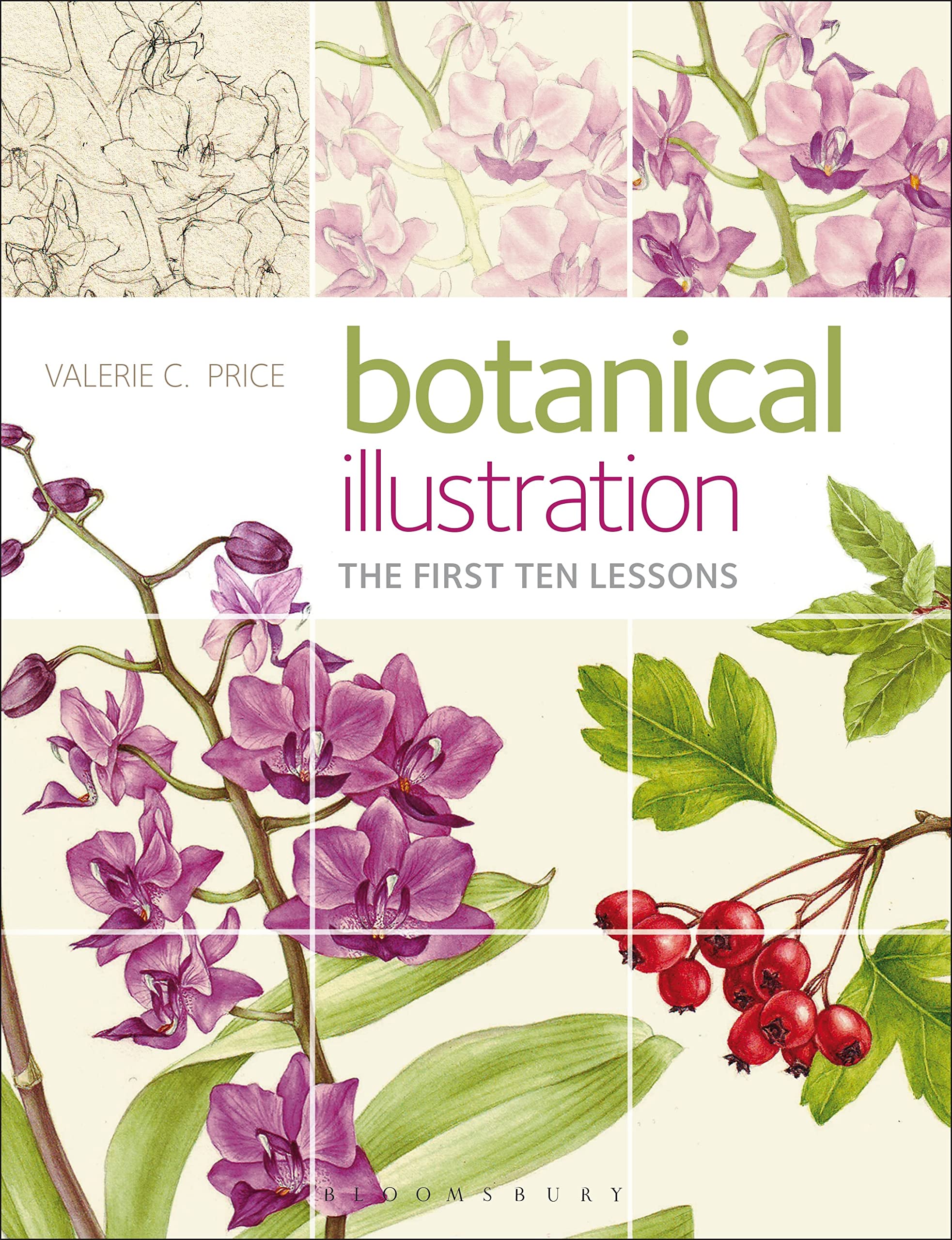 Botanical Illustration: The First Ten Lessons Social Sciences