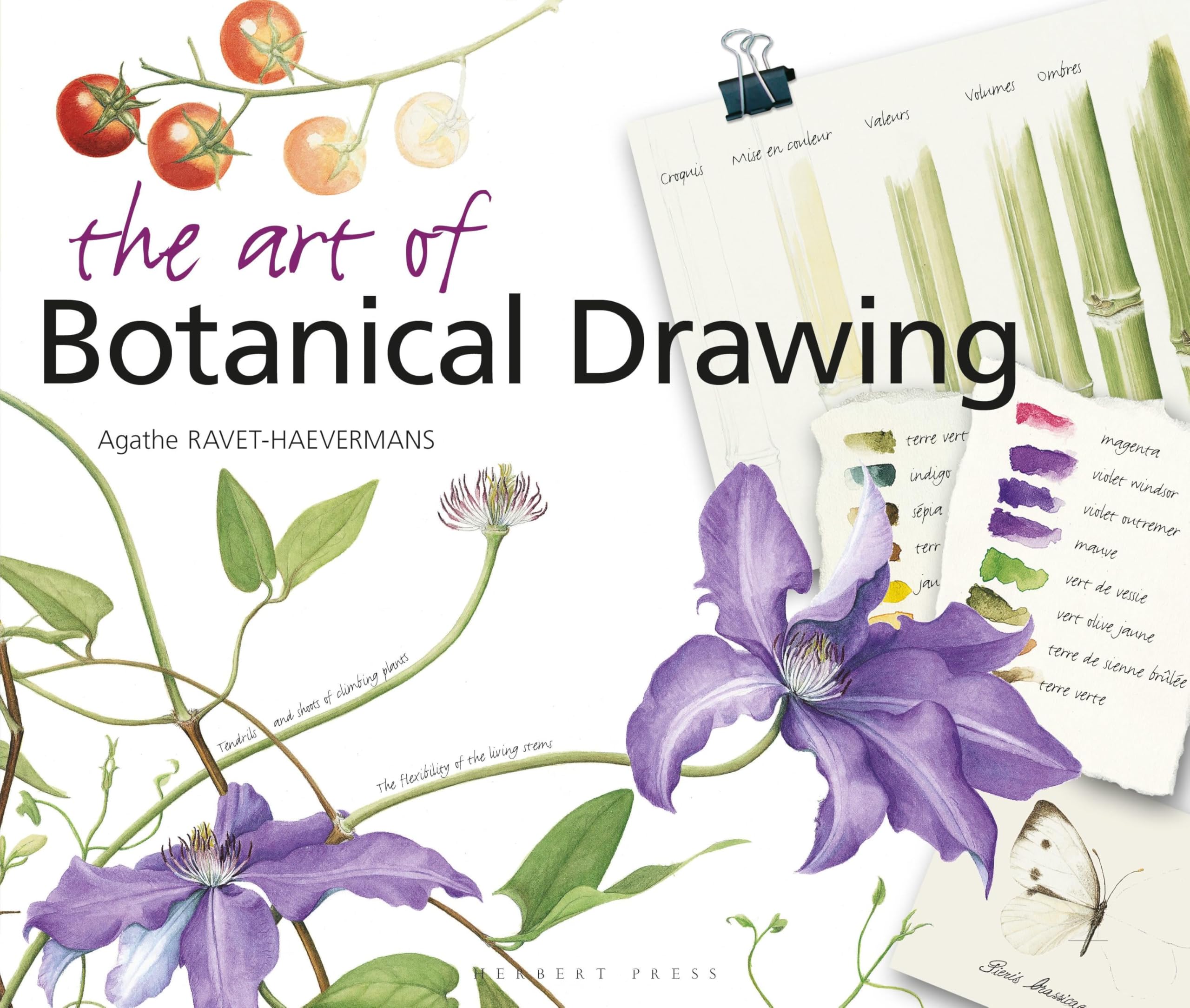 The Art of Botanical Drawing Arts & Music