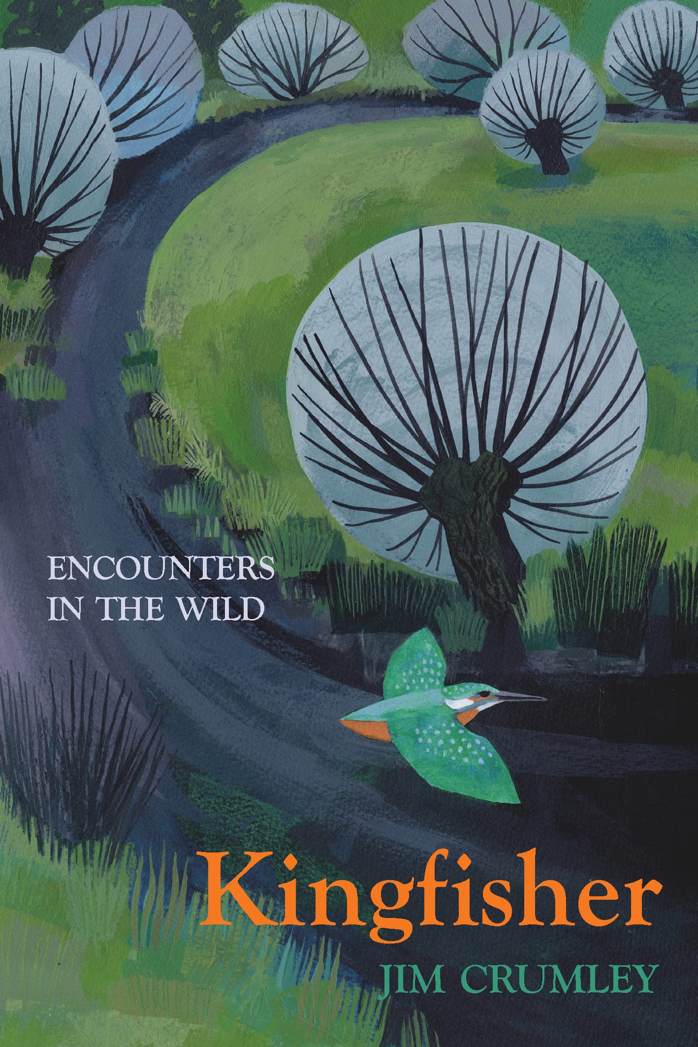 Kingfisher (Encounters in the Wild) Mathematics