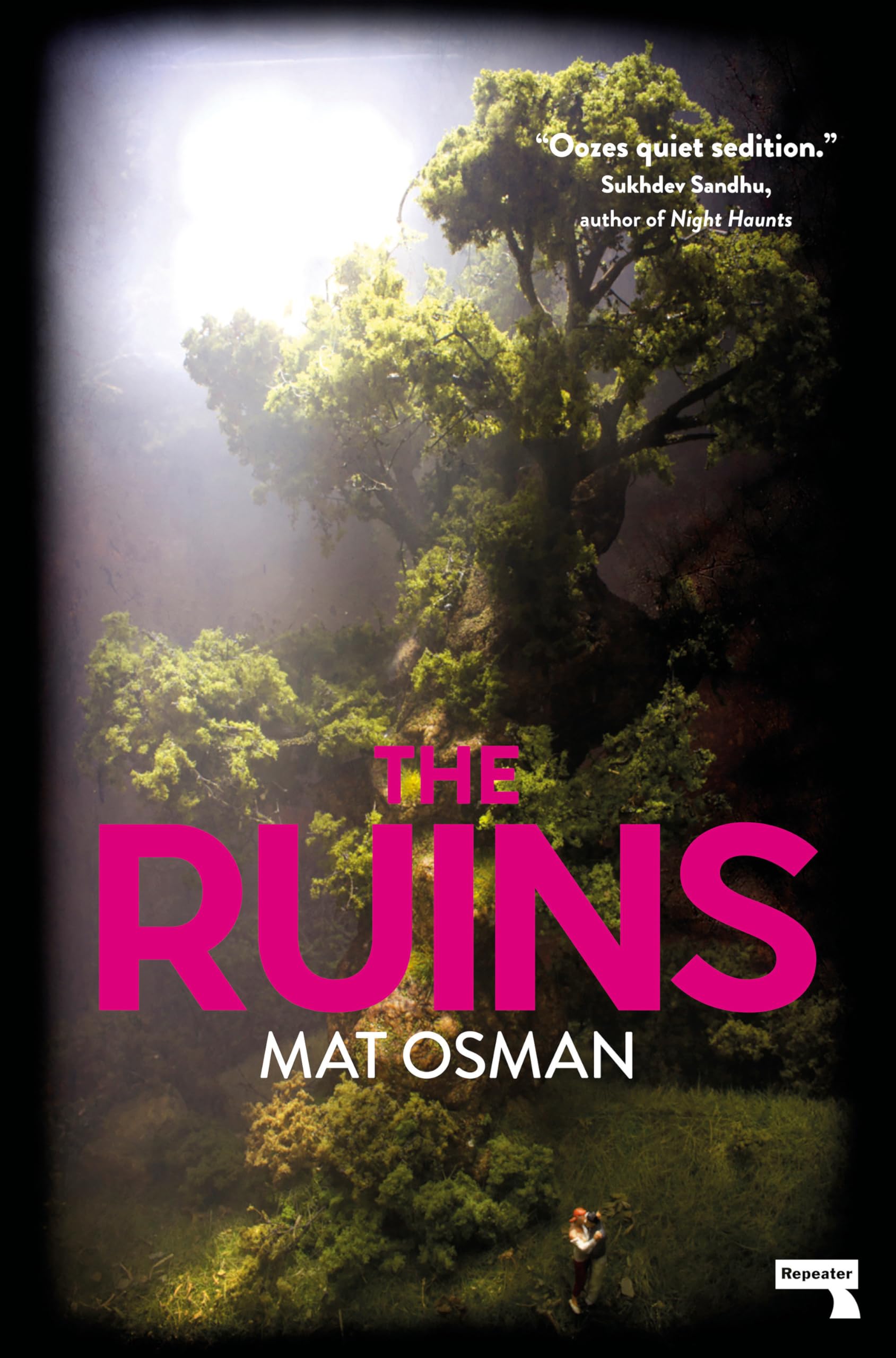 Product Image: The Ruins