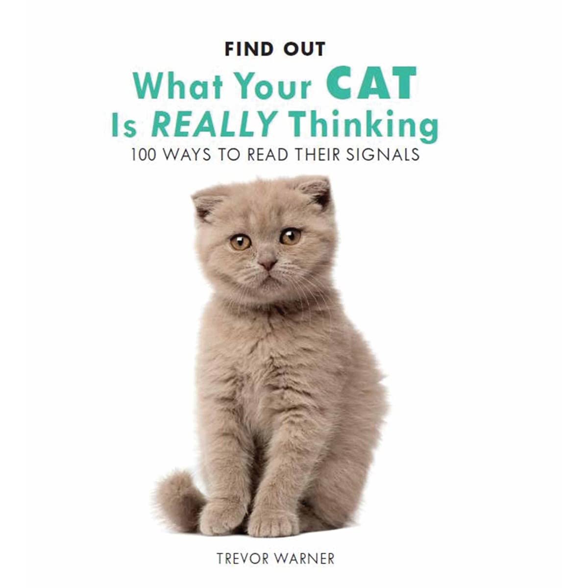 Cat Body Language: 100 Ways to Read Their Signals Pets