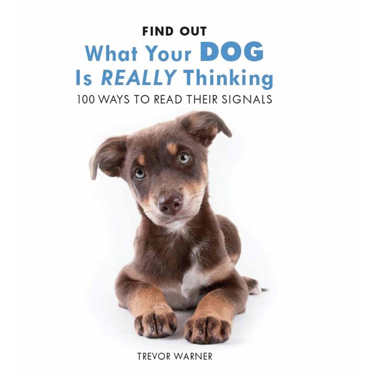 Dog Body Language: 100 Ways to Read Thier Signals Pets