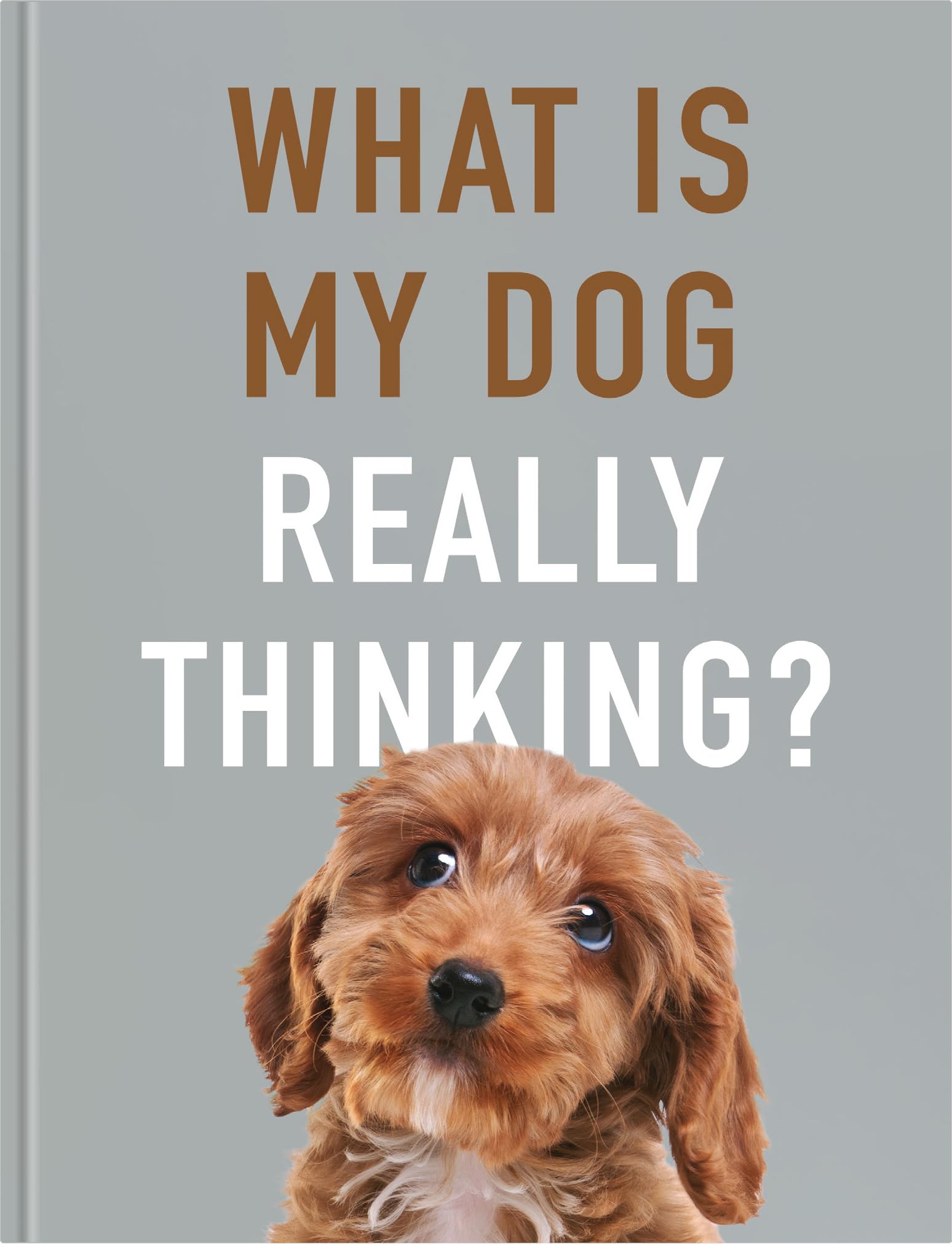 What is My Dog Really Thinking?: Our Doggie's Inner Mind Explained book