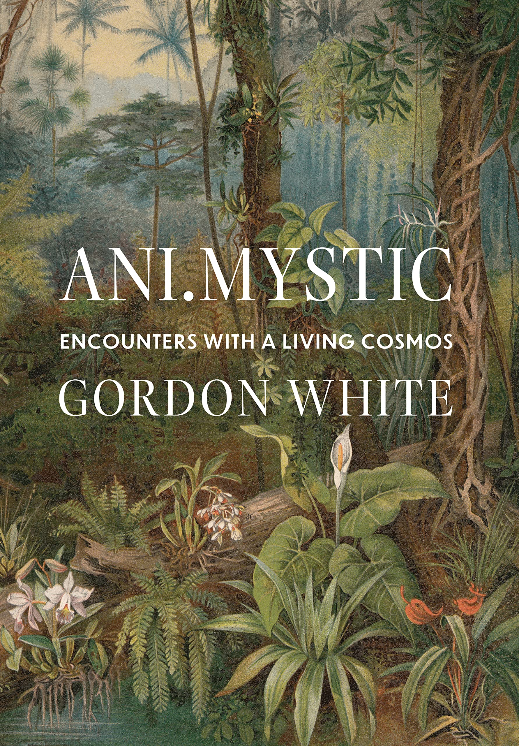 Ani.Mystic: Encounters with a Living Cosmos Religion & Esotericism
