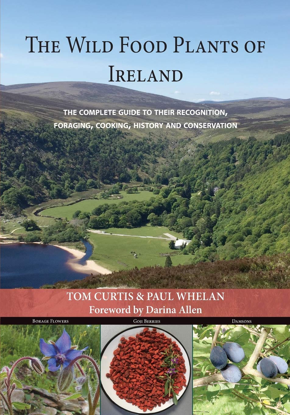 THE WILD FOOD PLANTS OF IRELAND: The complete guide to their recognition, foraging, cooking, history and conservation book