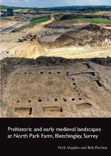Prehistoric and early medieval landscapes at North Park Farm, Bletchingley, Surrey (SpoilHeap Monographs, Band 21) Social Sciences