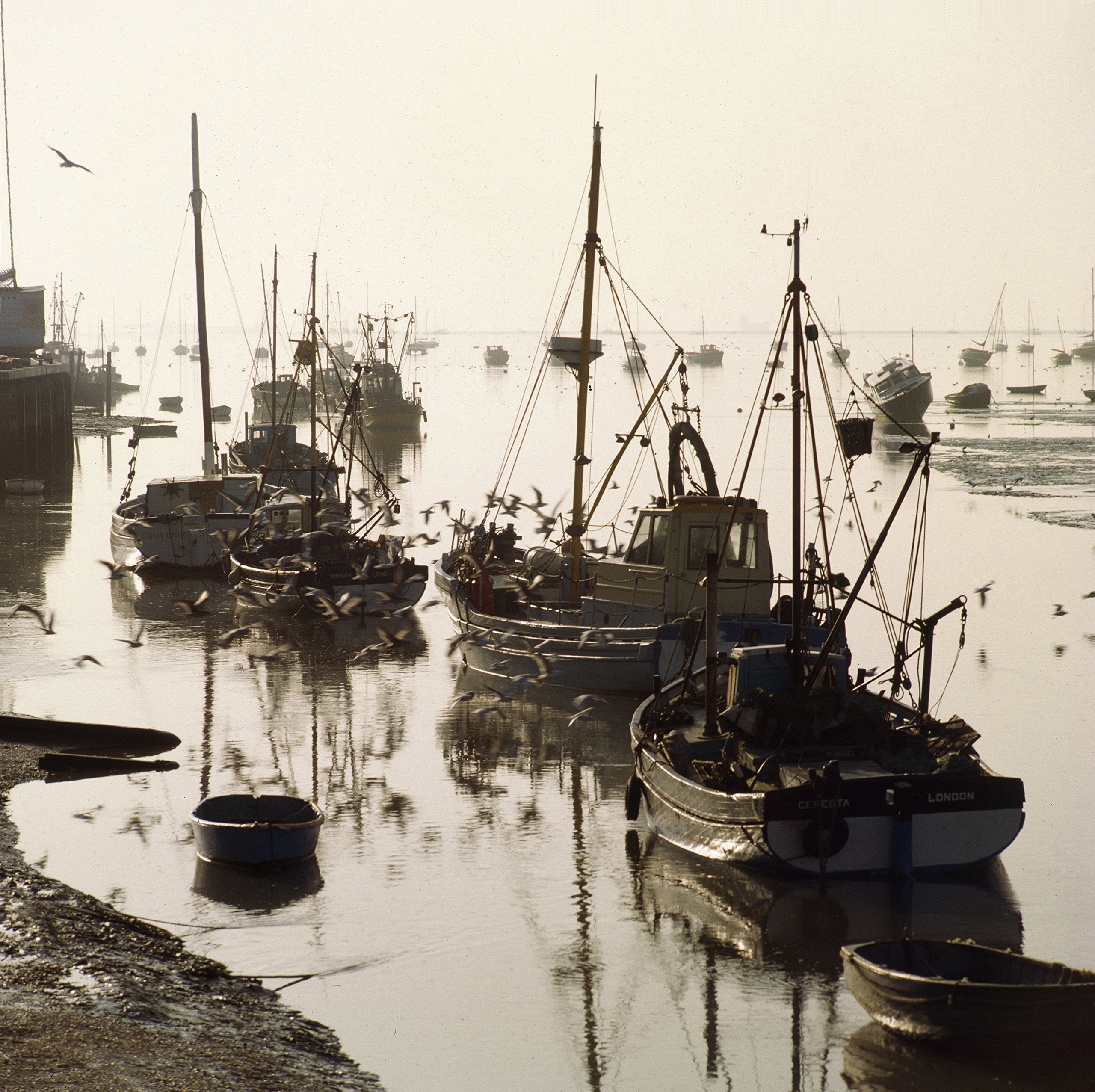 The East Seaxe: Two Views of Essex in Poetry and Photographs by Mervyn Linford and Robert Hallmann Poetry