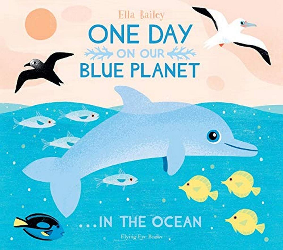 One Day on our Blue Planet: In the Ocean: 4 book