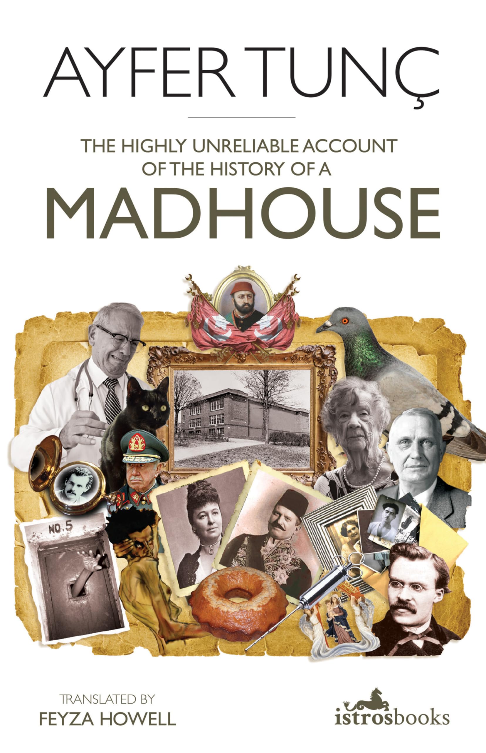 The Highly Unreliable Account of the History of a Madhouse book