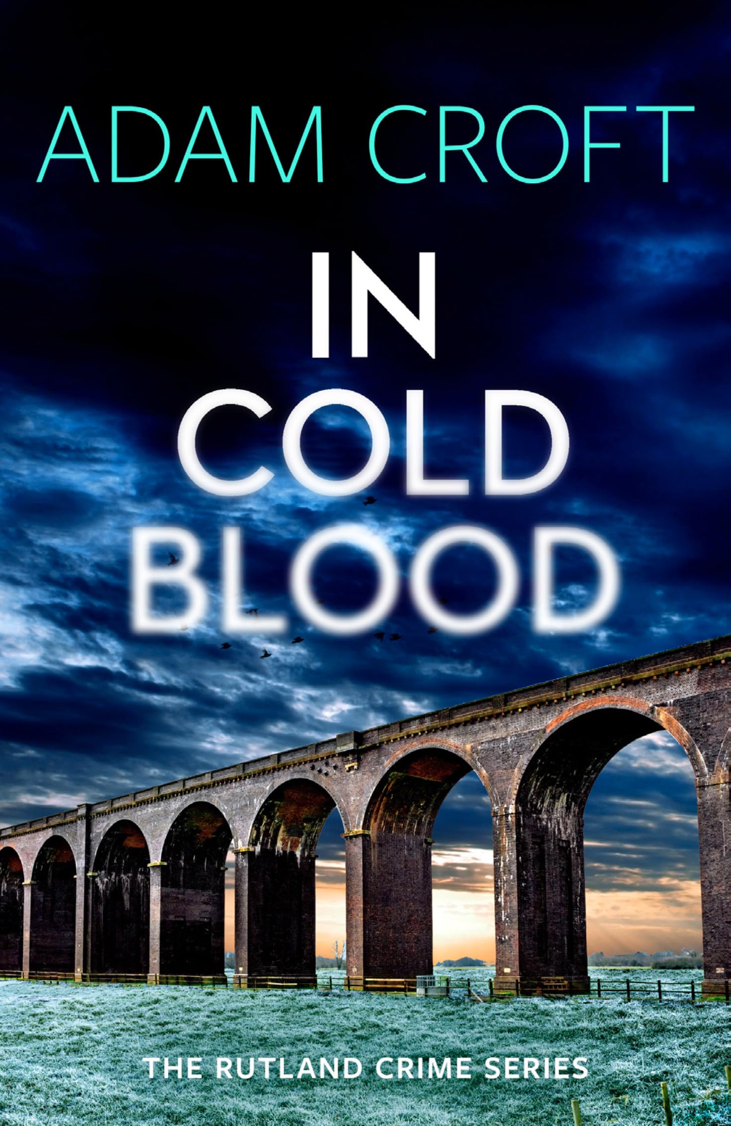 In Cold Blood (Rutland Crime Series, Band 3) Contemporary literature