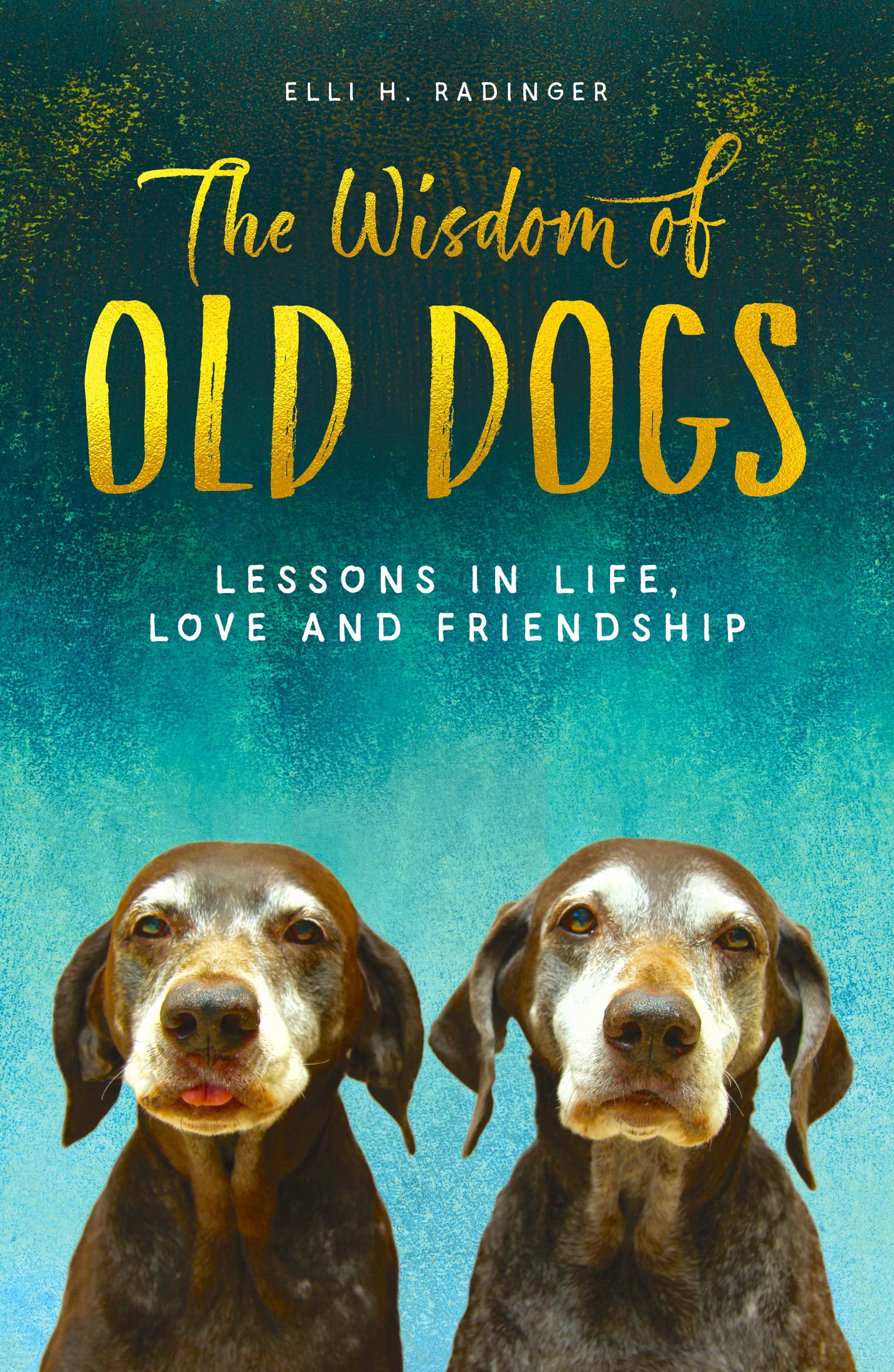 The Wisdom of Old Dogs: Lessons in life, love and friendship Pets
