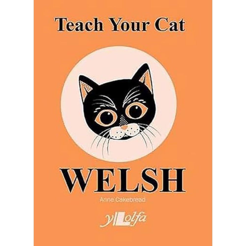 Teach Your Cat Welsh Foreign Languages ​​& Dictionaries