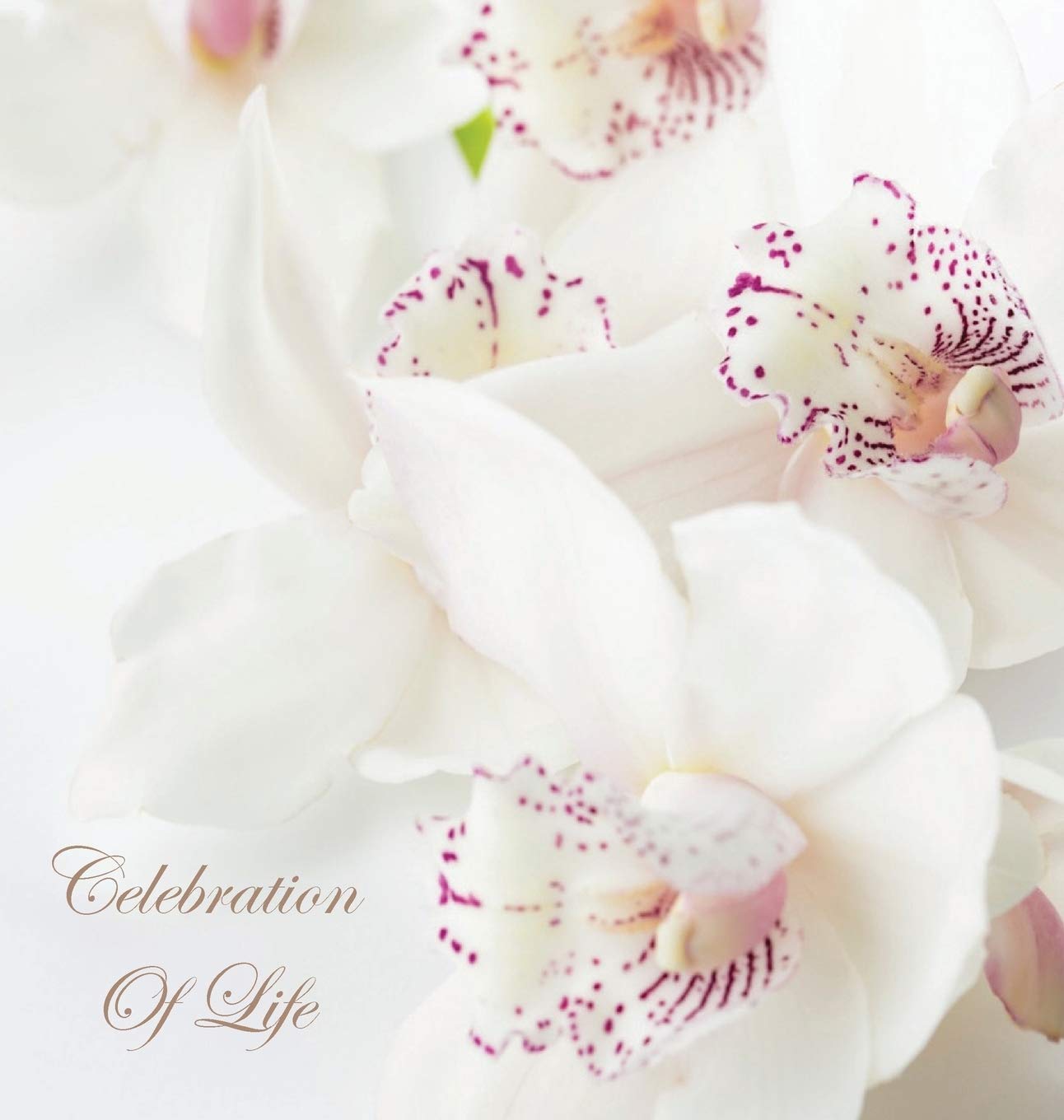 Celebration of Life, In Loving Memory Funeral Guest Book, Wake, Loss, Memorial Service, Love, Condolence Book, Funeral Home, Missing You, Church, Thoughts and In Memory Guest Book (Hardback) Law