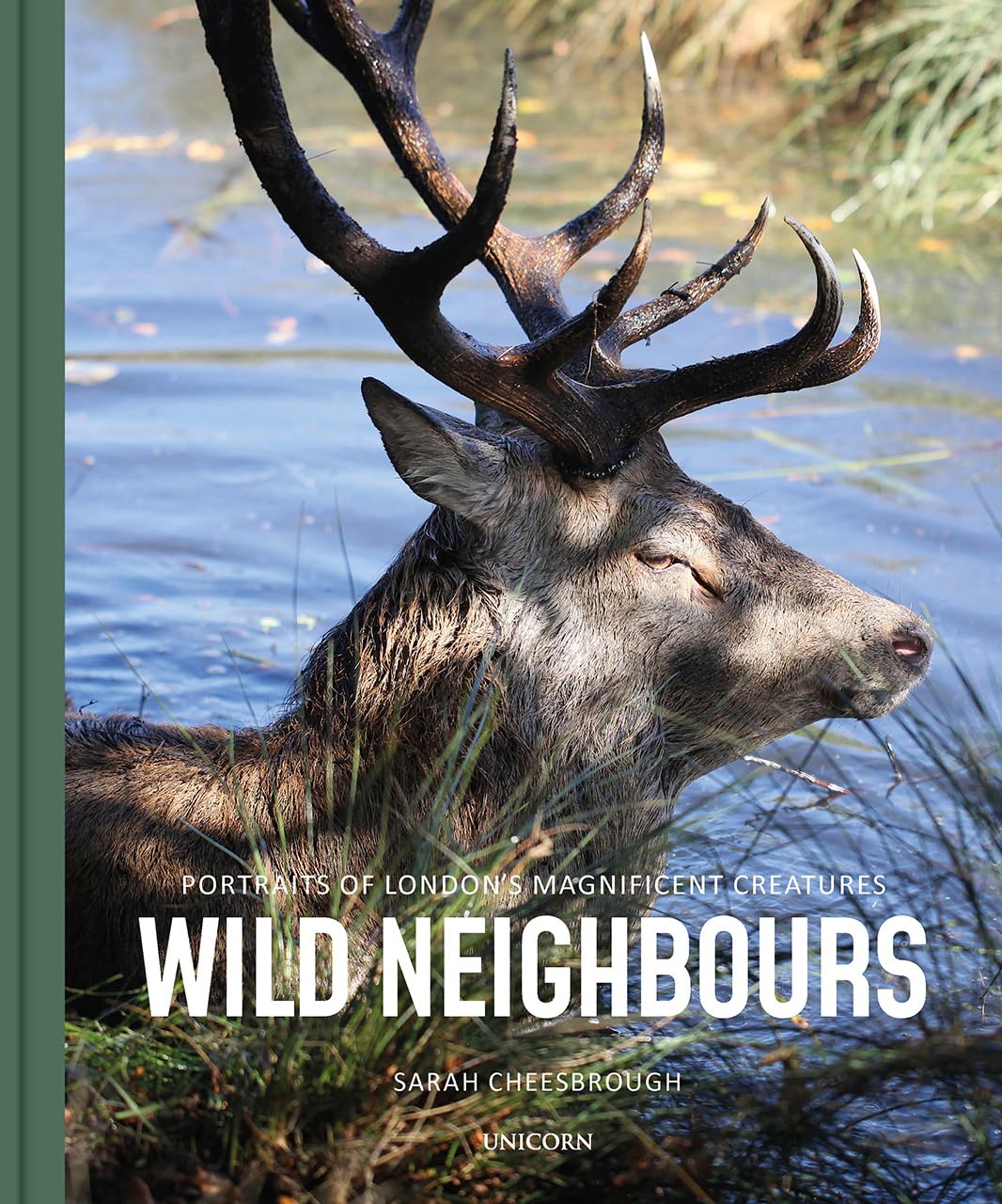 Wild Neighbours: Portraits of London’s Magnificent Creatures Mathematics