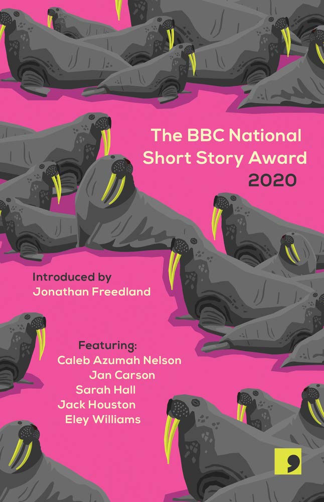 The BBC National Short Story Award 2020 Contemporary literature