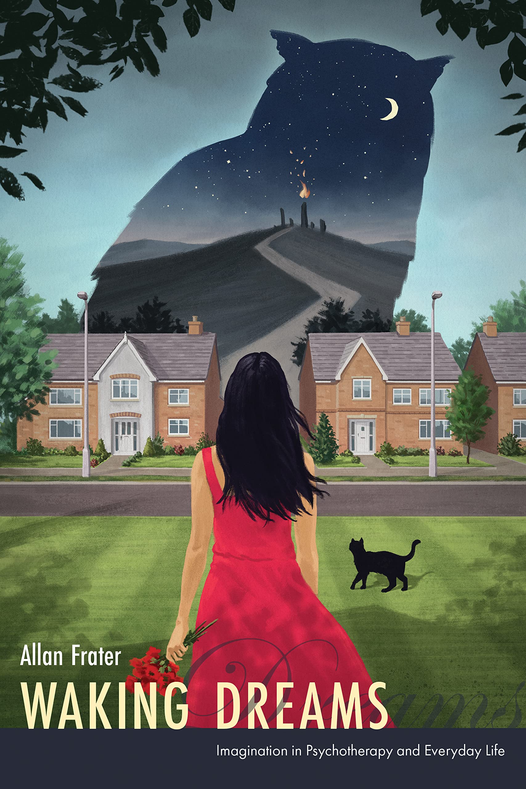 Waking Dreams: Imagination in Psychotherapy and Everyday Life Medicine
