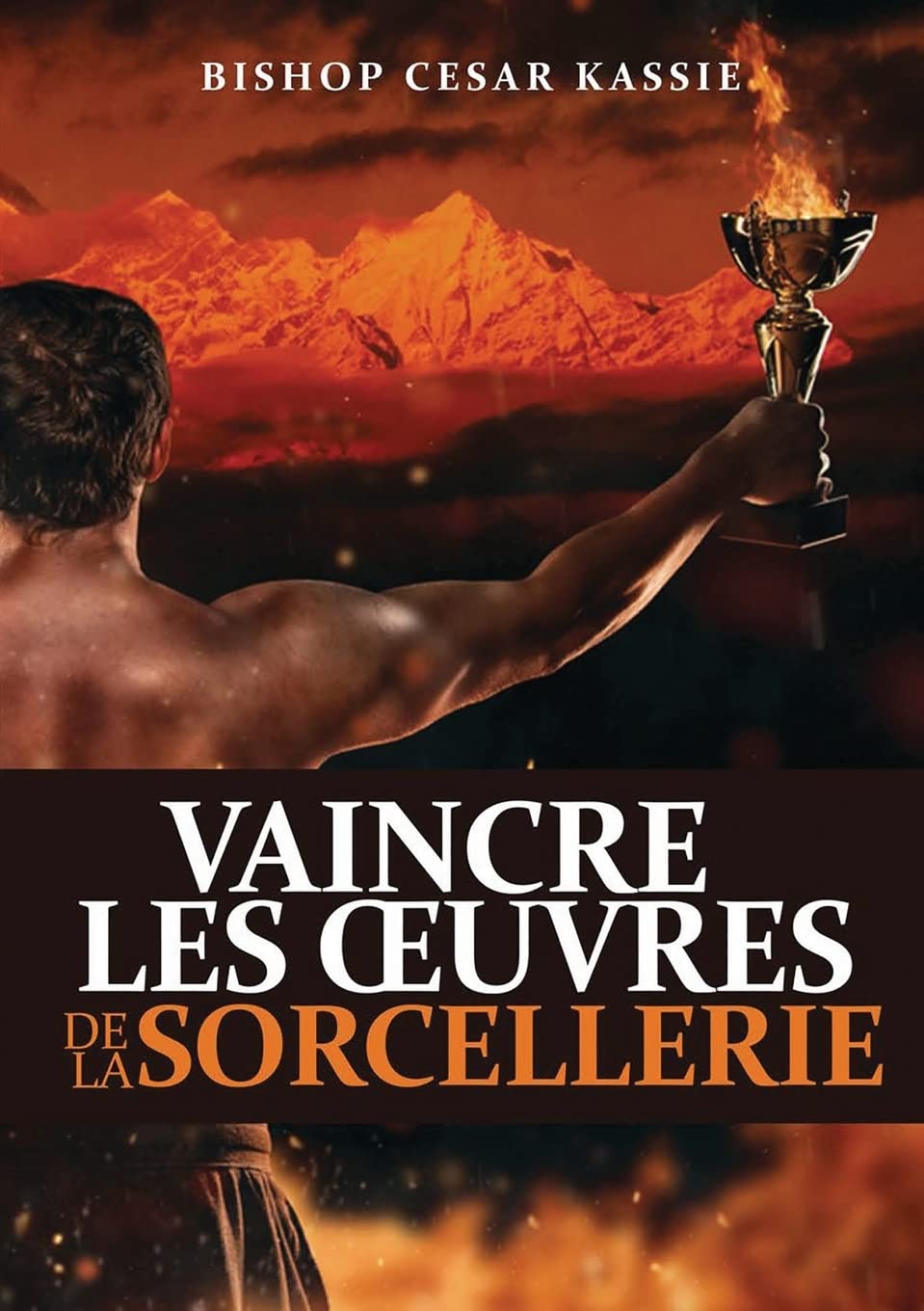 Vaincre Les Oeuvres de la Sorcellerie book