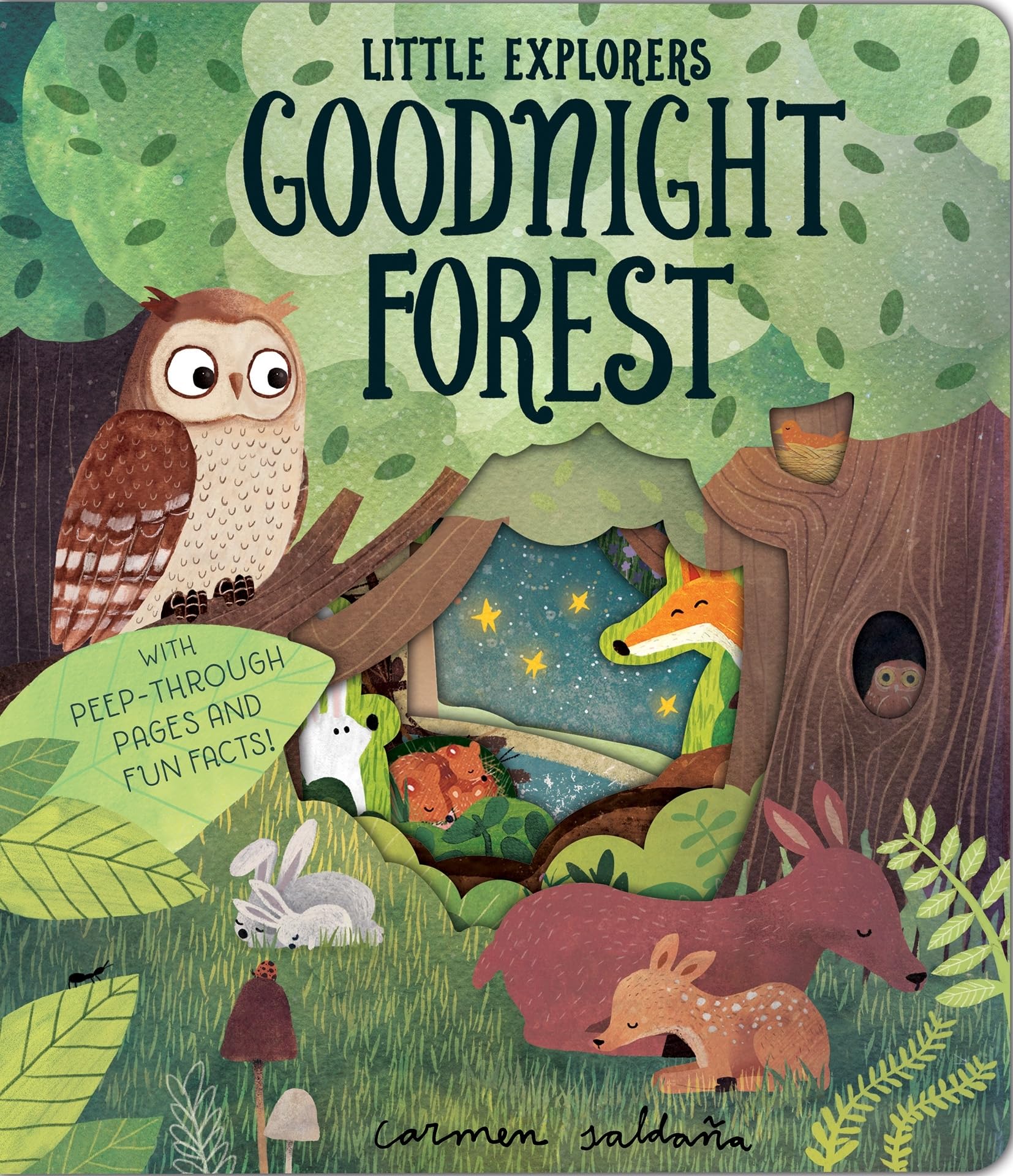 Goodnight Forest Non-fiction