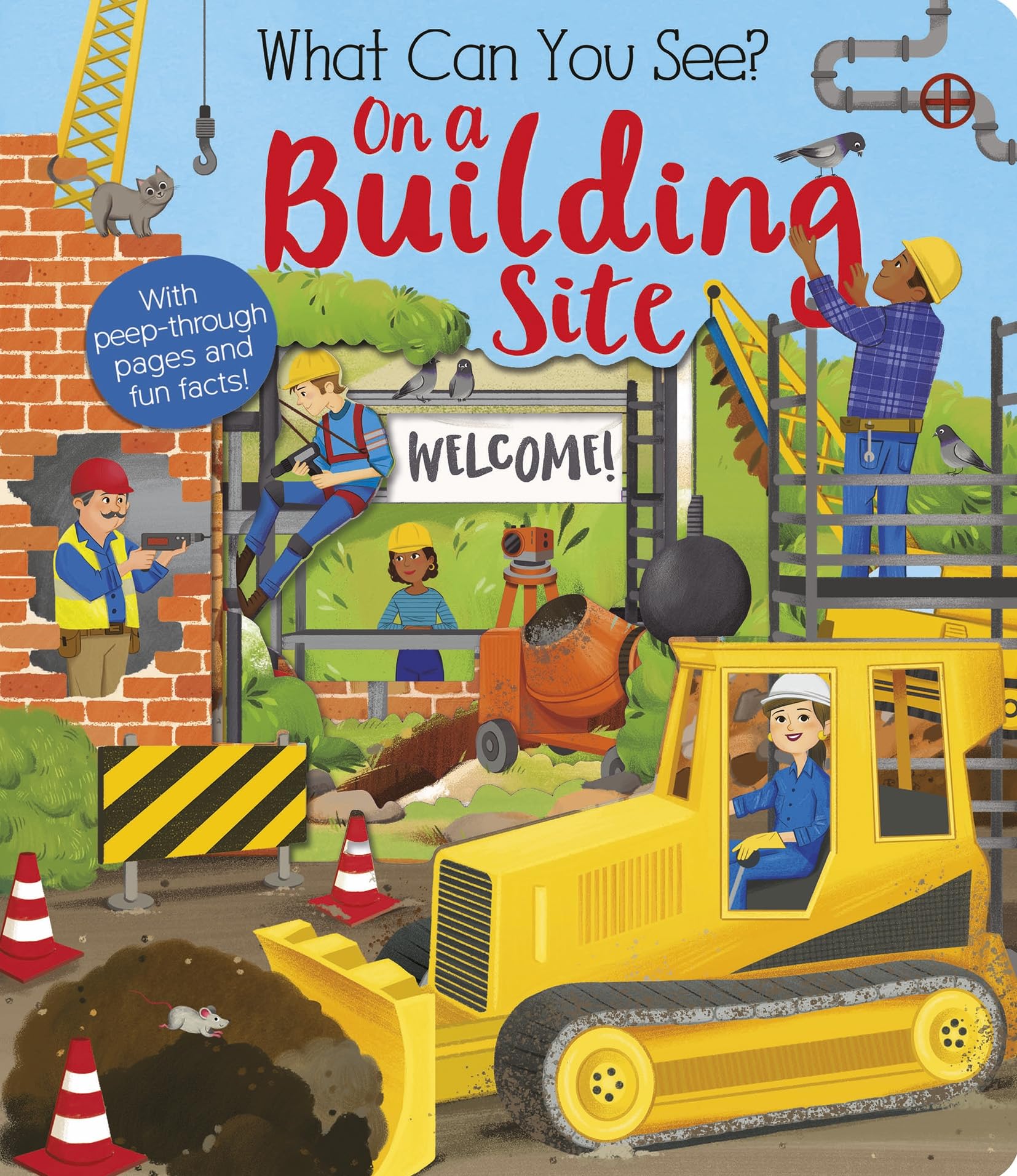 Product Image: What Can You See On a Building Site?