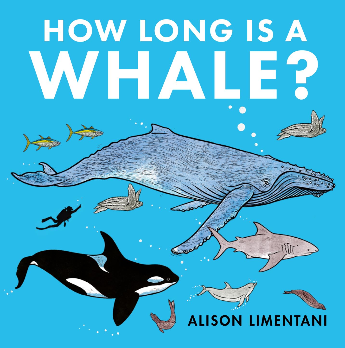 How Long is a Whale (Wild facts and Amazing Maths ) Non-fiction