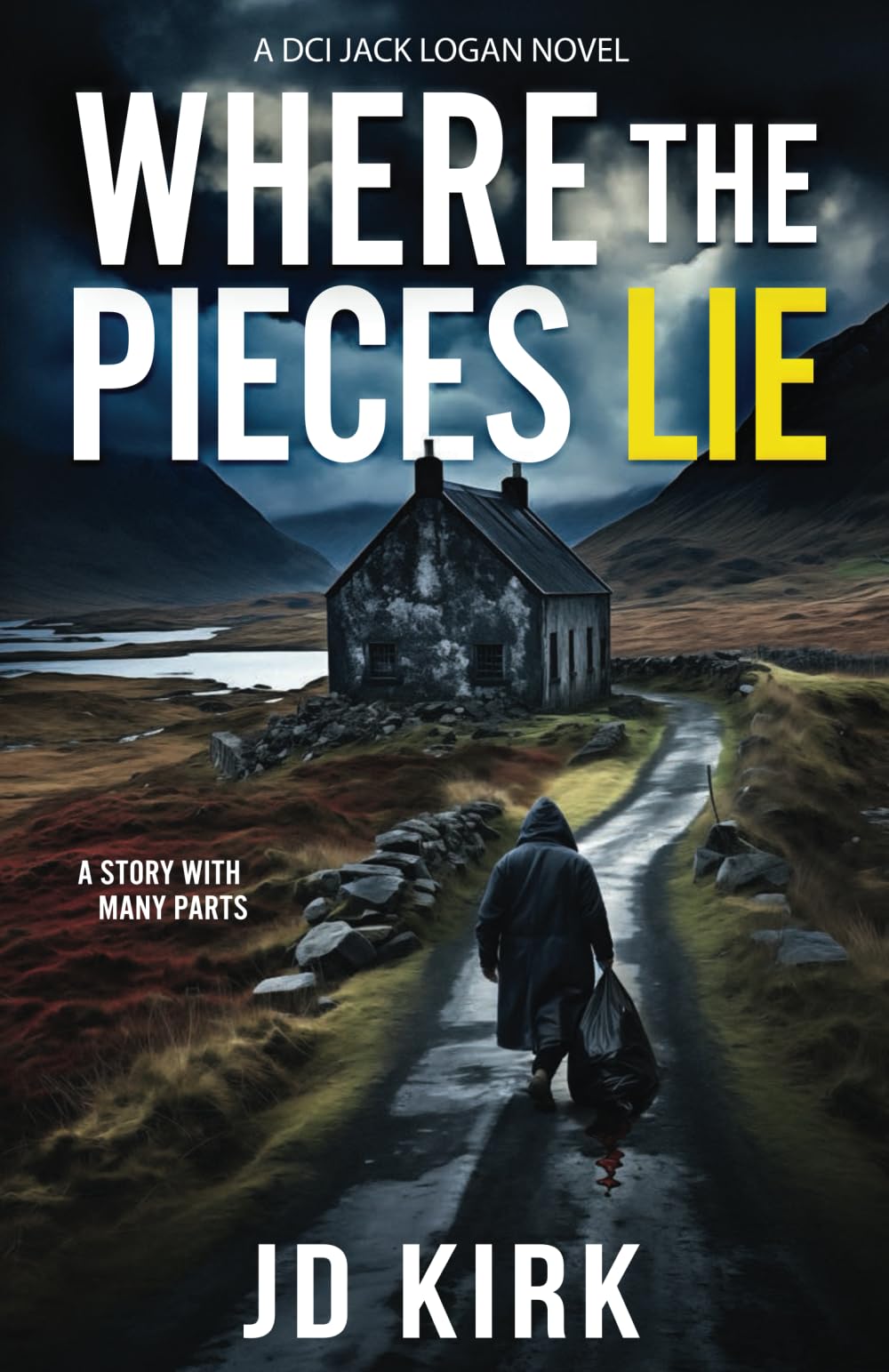 Where the Pieces Lie Contemporary literature Books