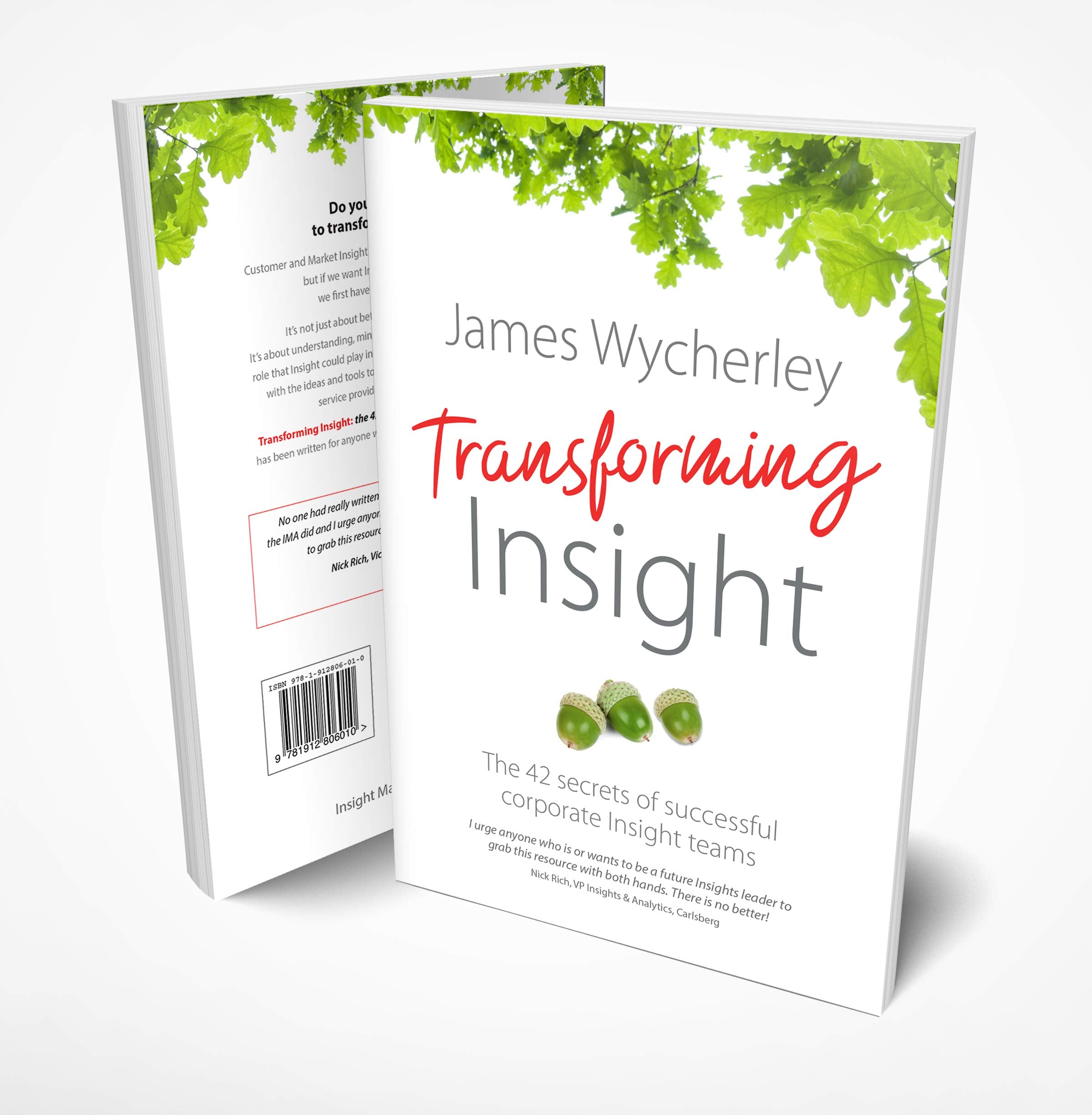 Transforming Insight: The 42 secrets of successful corporate Insight teams Business, Finance & Career