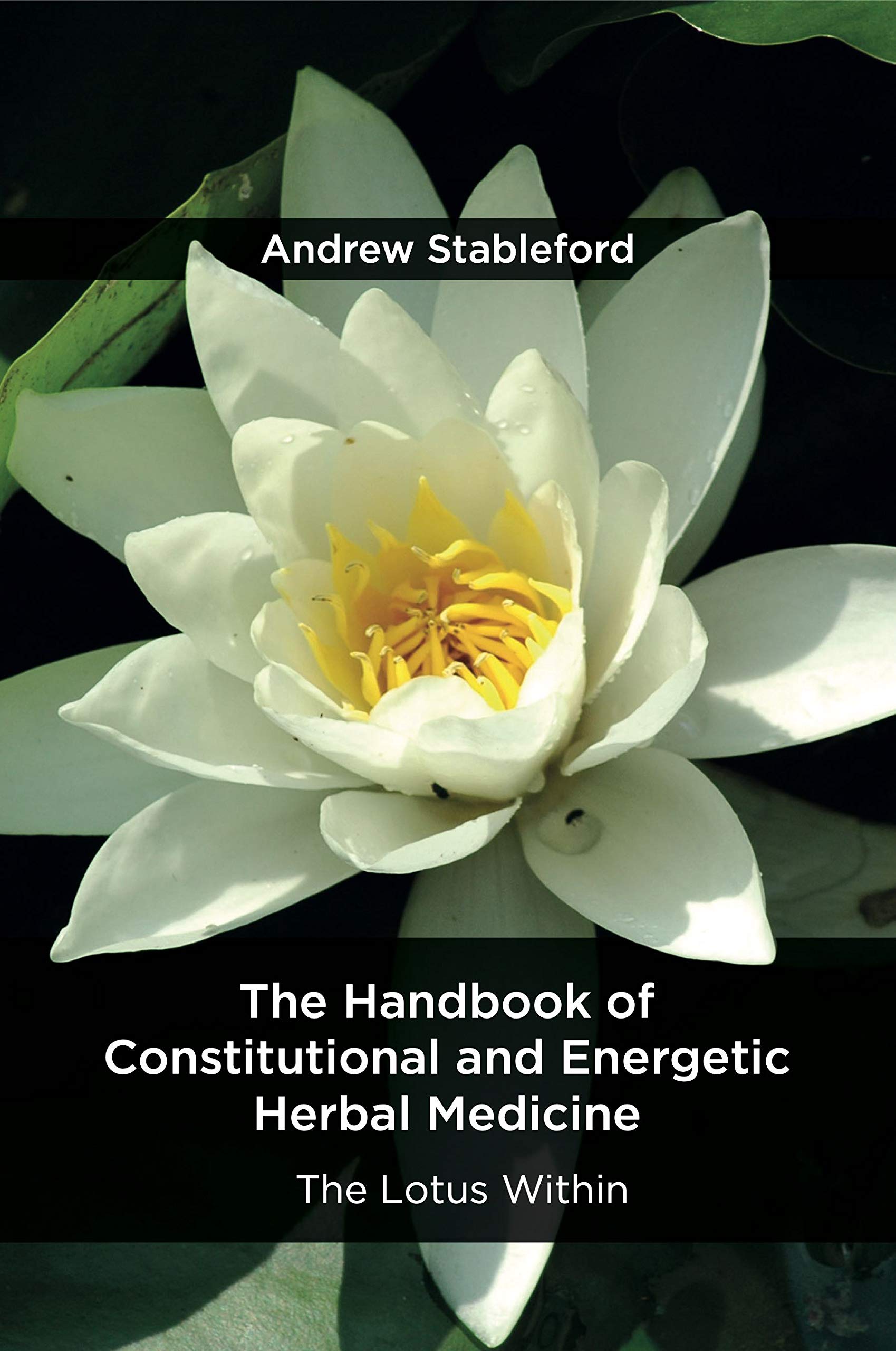 The Handbook of Constitutional and Energetic Herbal Medicine: The Lotus Within Medicine