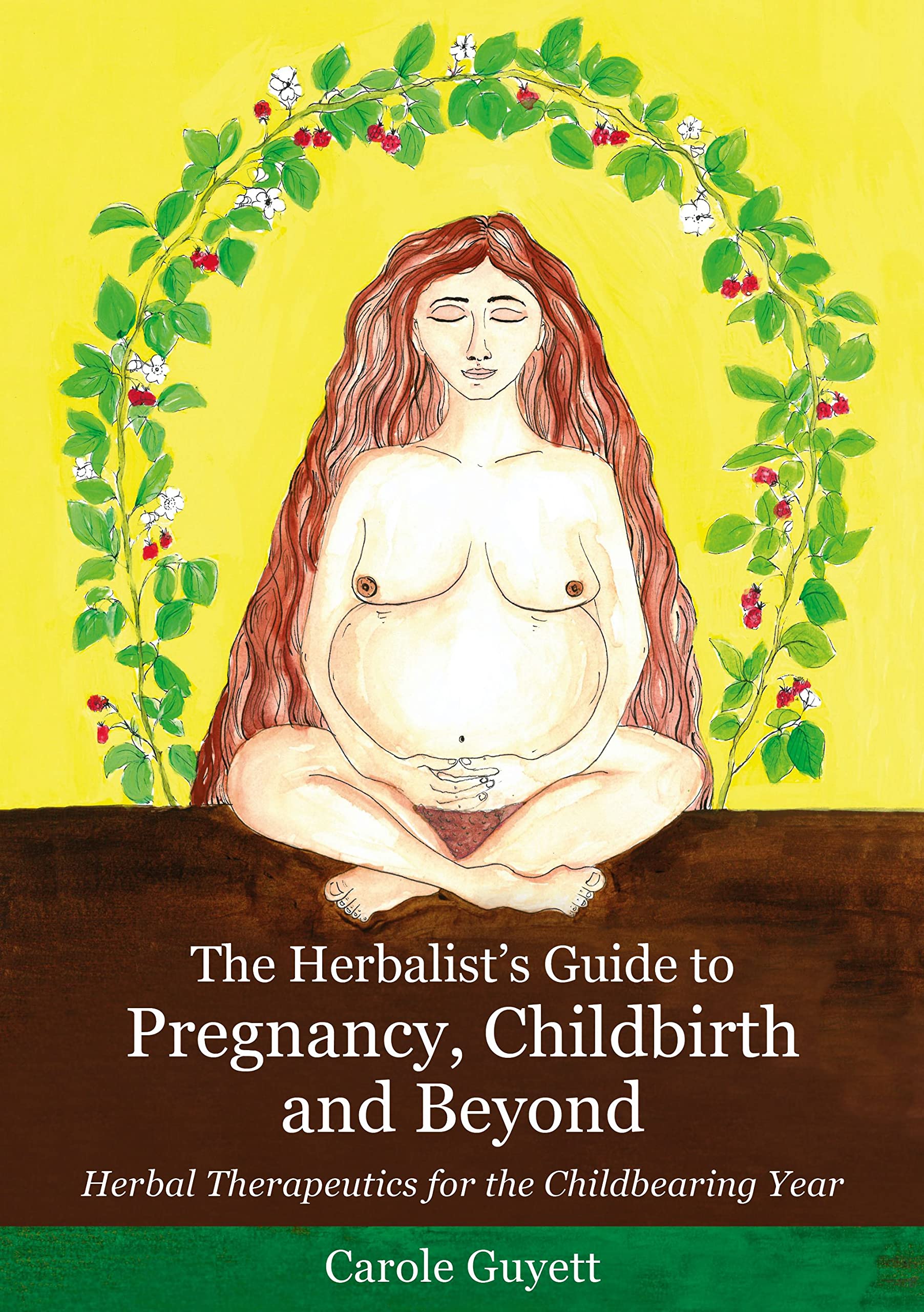 The Herbalist's Guide to Pregnancy, Childbirth and Beyond: Herbal Therapeutics for the Childbearing Year Medicine