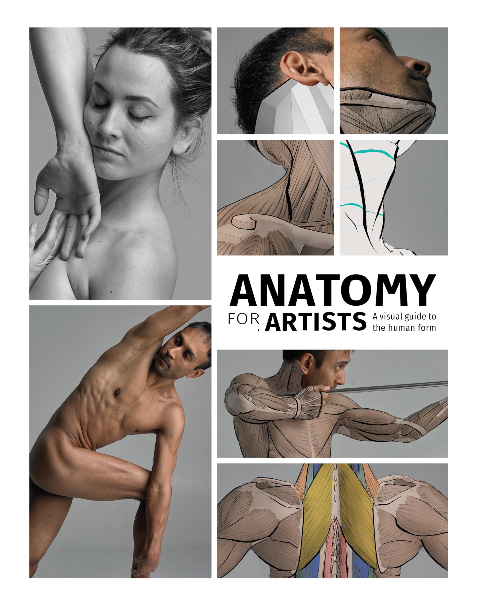 Product Image: Anatomy for Artists