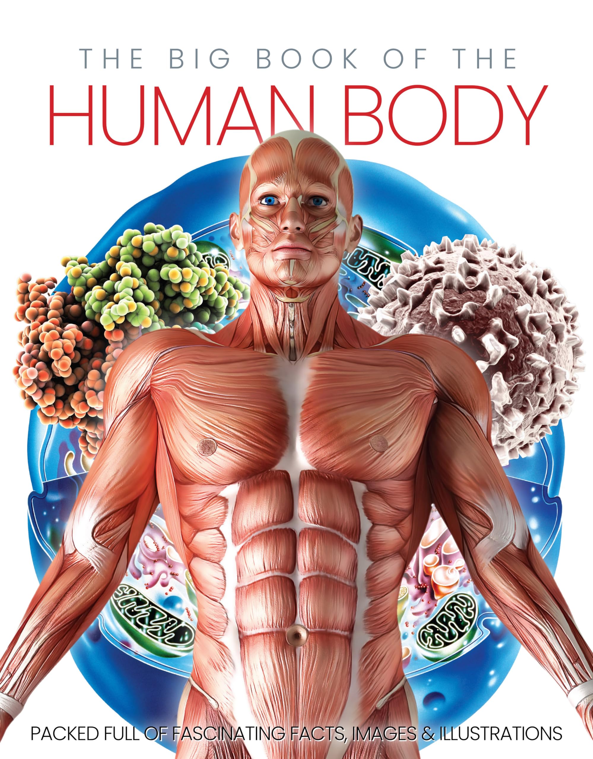 The Big Book of the Human Body Medicine