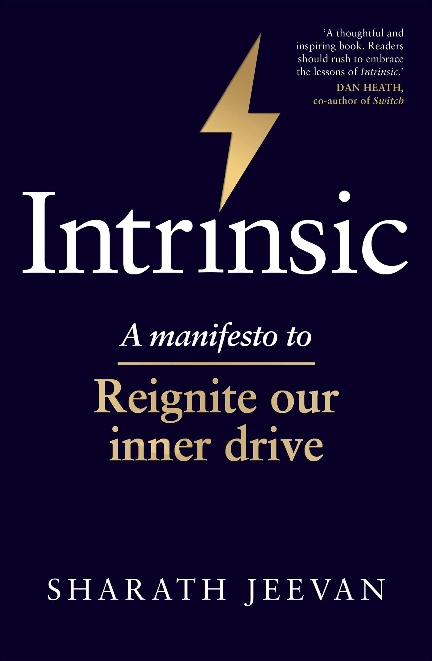 Intrinsic: A manifesto to reignite our inner drive Business, Finance & Career