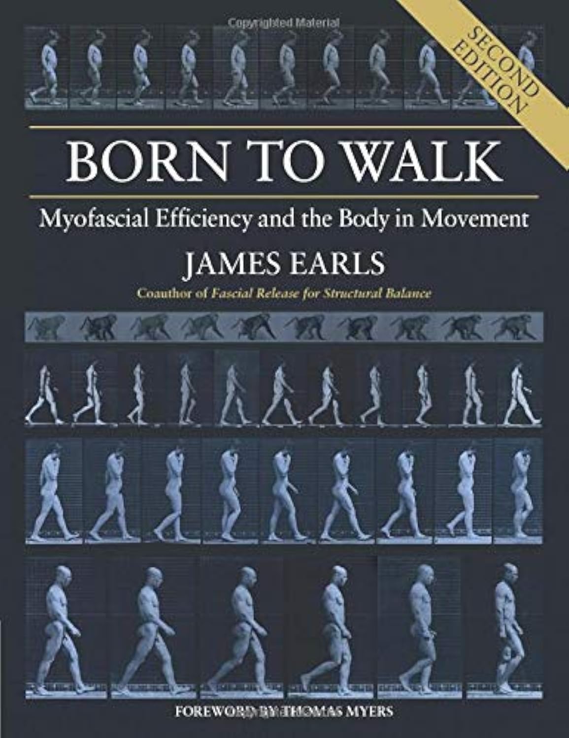 Born to Walk: Myofascial Efficiency and the Body in Movement Medicine