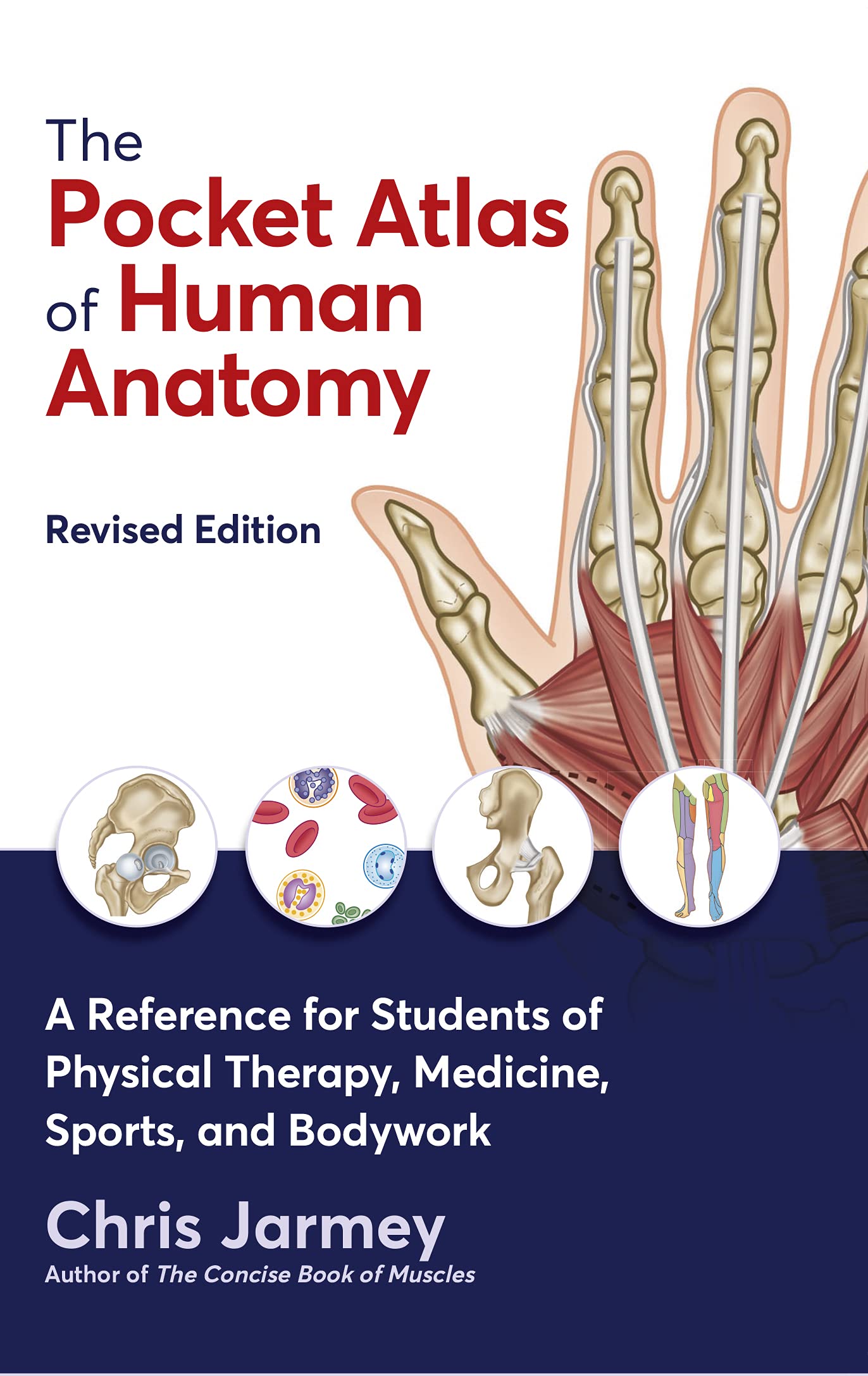 The Pocket Atlas of Human Anatomy: A Reference for Students of Physical Therapy, Medicine, Sports, and Bodywork Medicine
