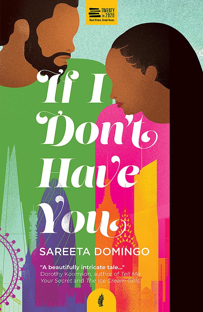 If I Don't Have You book