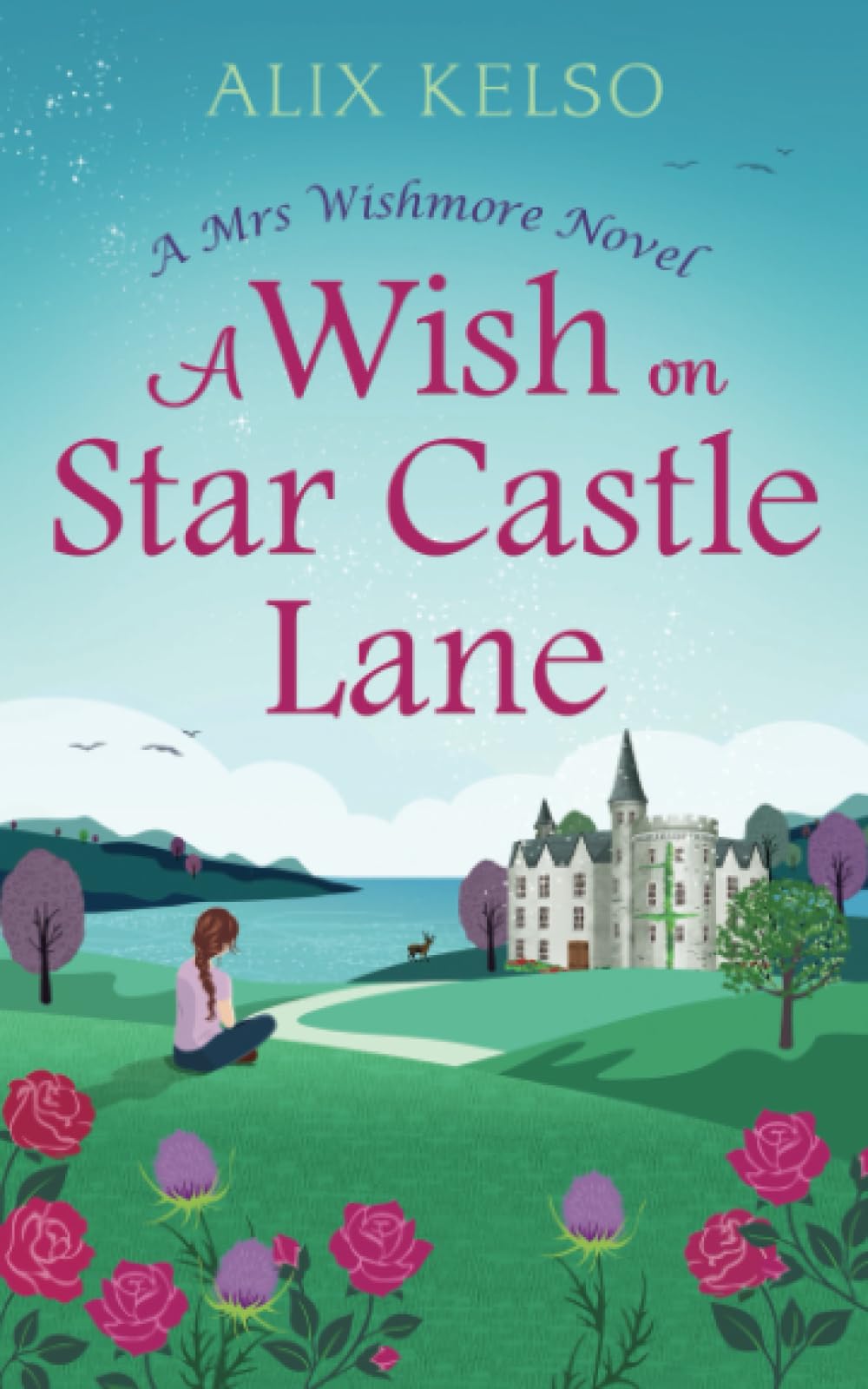 A Wish On Star Castle Lane (Mrs Wishmore, Band 2) Contemporary literature