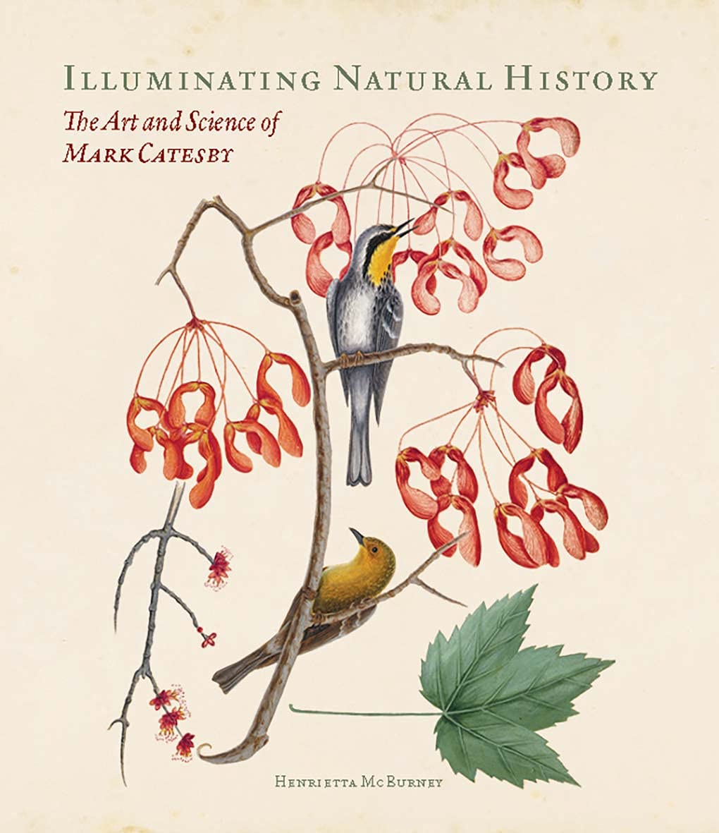 Illuminating Natural History: The Art and Science of Mark Catesby Sports