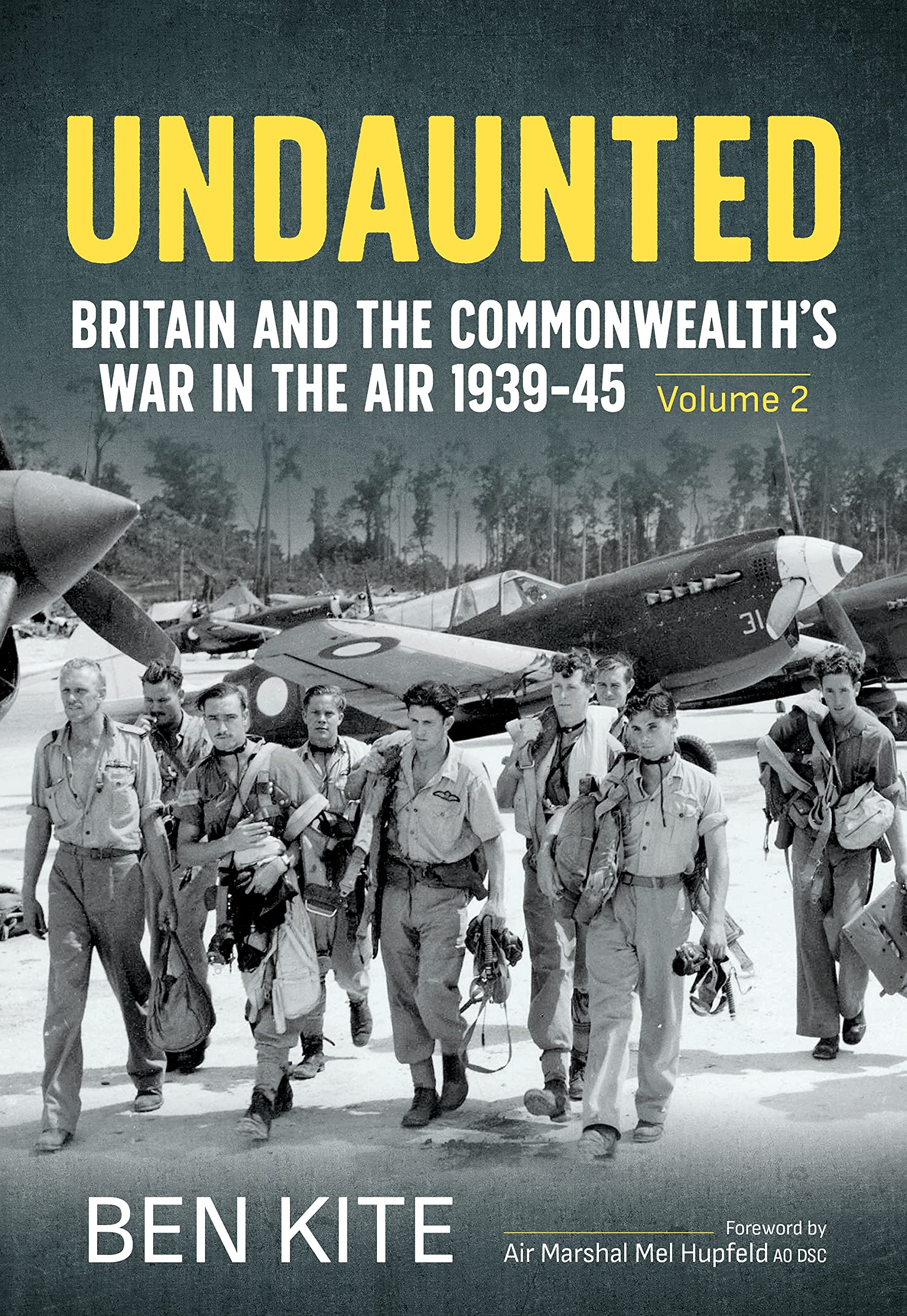 The British Commonwealth's War in the Air 1939-45: Volume 2 -- Undaunted: Britain and the Commonwealth's War in the Air 1939-45 Social Sciences