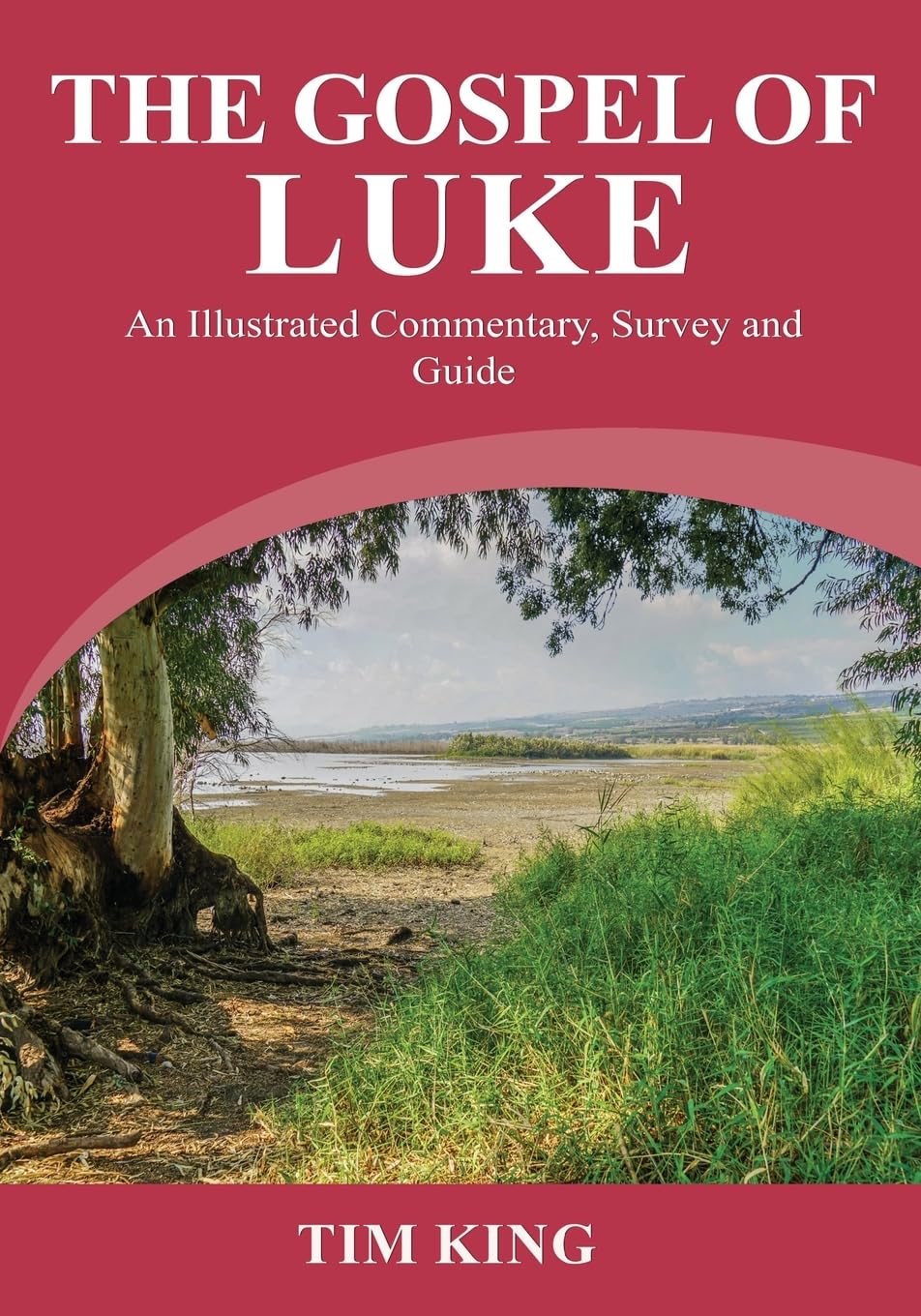 The Gospel of Luke: An Illustrated Commentary, Survey and Guide Religion & Esotericism