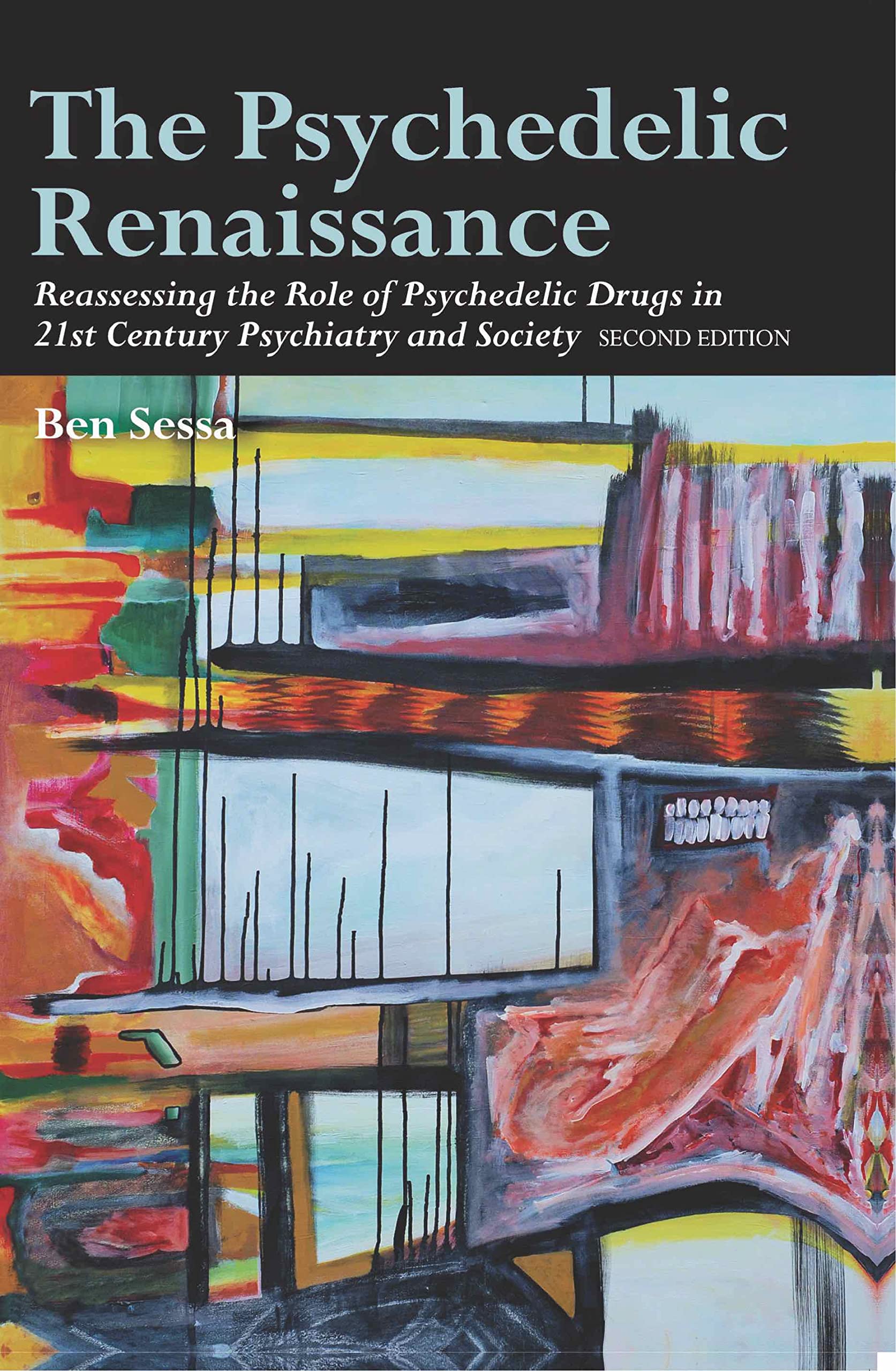 The Psychedelic Renaissance: Reassessing the Role of Psychedelic Drugs in 21st Century Psychiatry and Society: Second Edition Medicine
