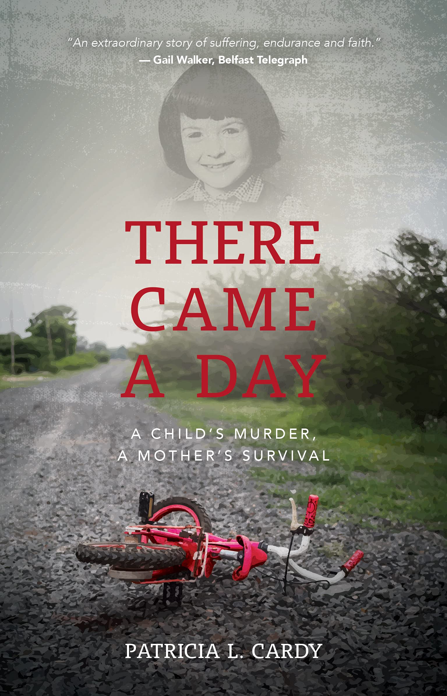 There Came A Day: A Child's Murder, A Mother's Survival Law