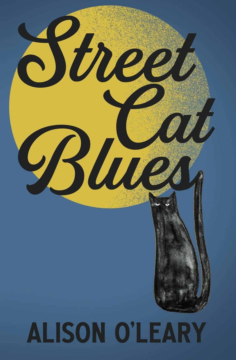 Street Cat Blues (Cat Noir Series, Band 1) Action & Adventure