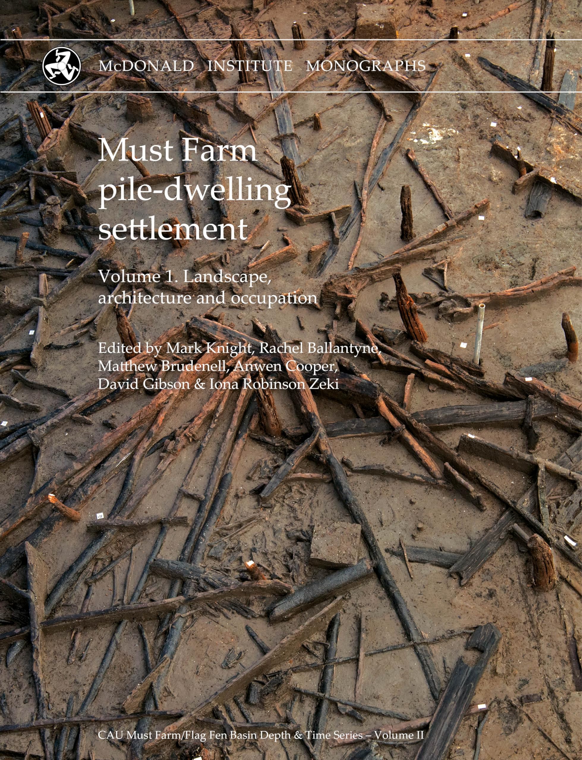 Must Farm Pile-dwelling Settlement: Landscape, Architecture and Occupation (1) (Cau Must Farm/Flag Fen Basin Depth & Time, Band 1) Social Sciences