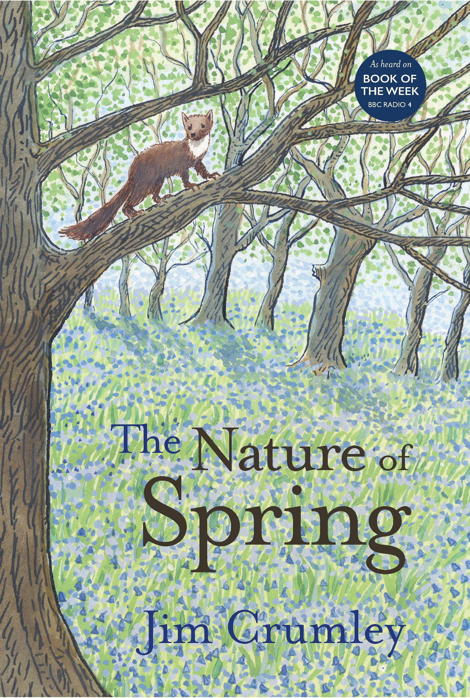 The Nature of Spring (Seasons, Band 3) Geology & Geography