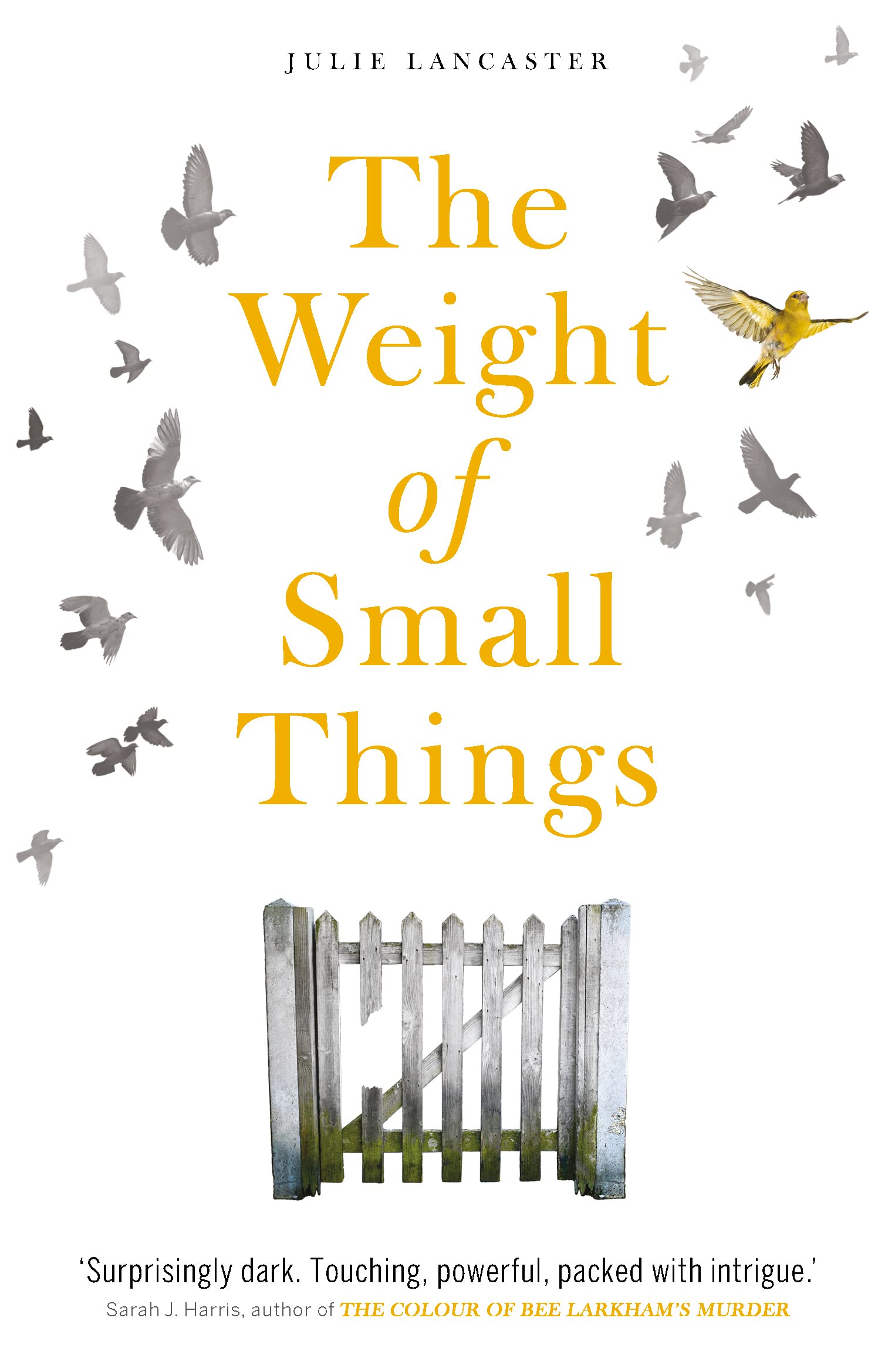 The Weight of Small Things Contemporary literature