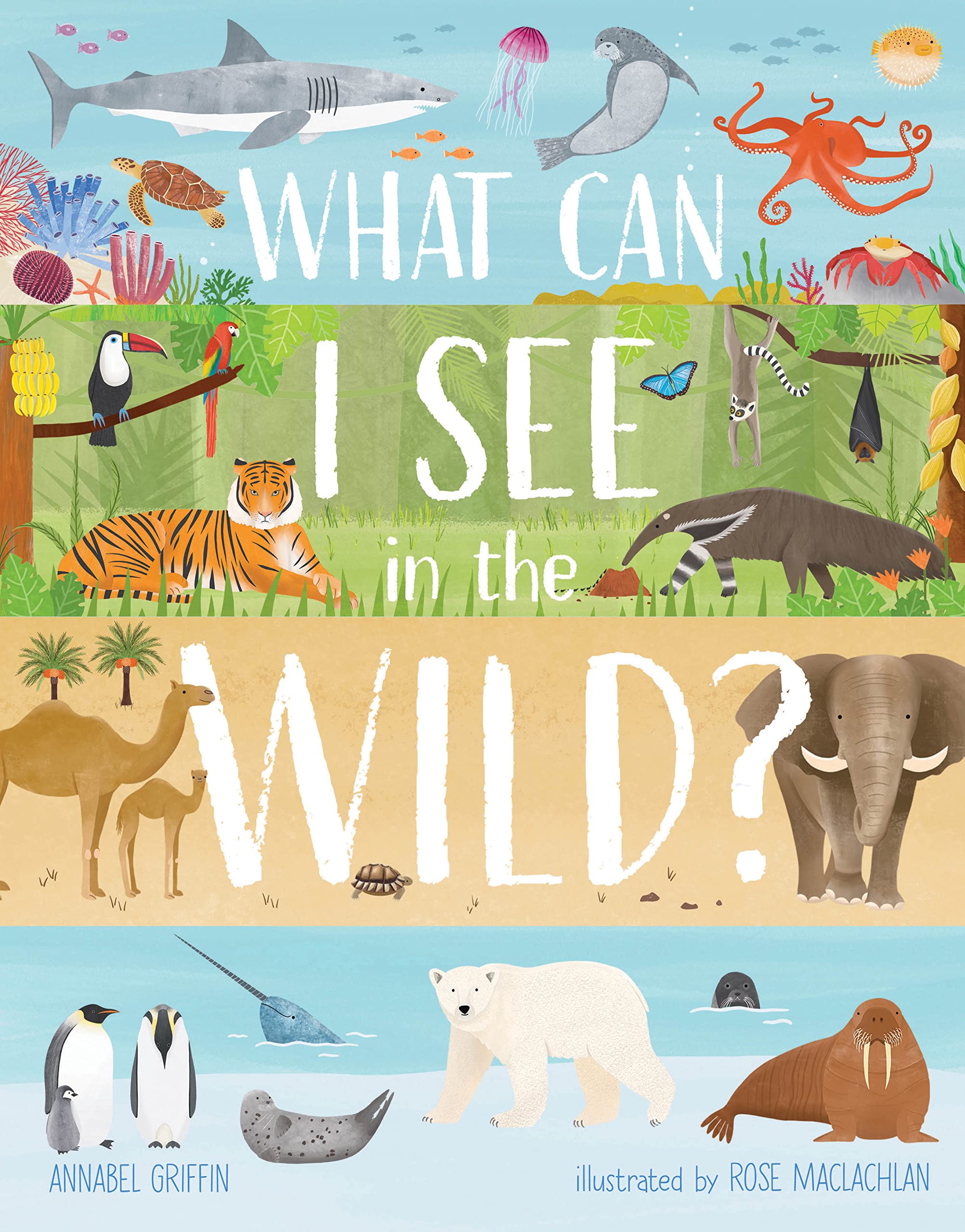 What Can I See in the Wild? Sharing Our Planet, Nature and Habitats book