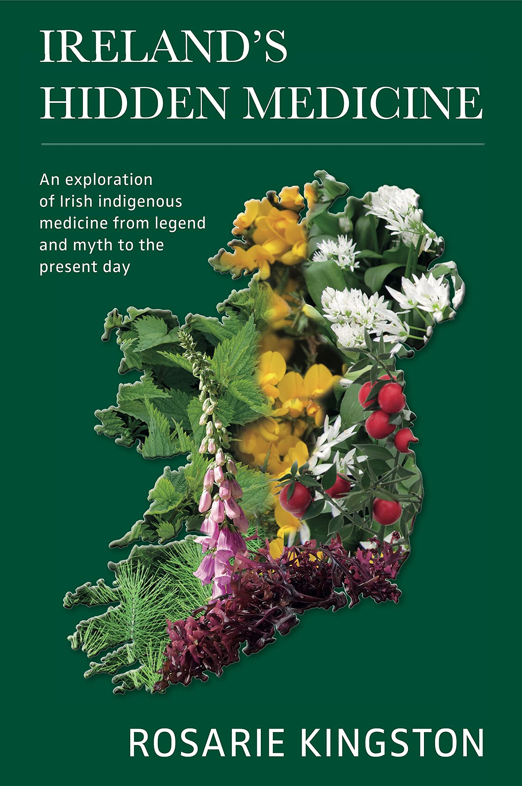 Ireland's Hidden Medicine: An Exploration of Irish Indigenous Medicine from Legend and Myth to the Present Day Medicine