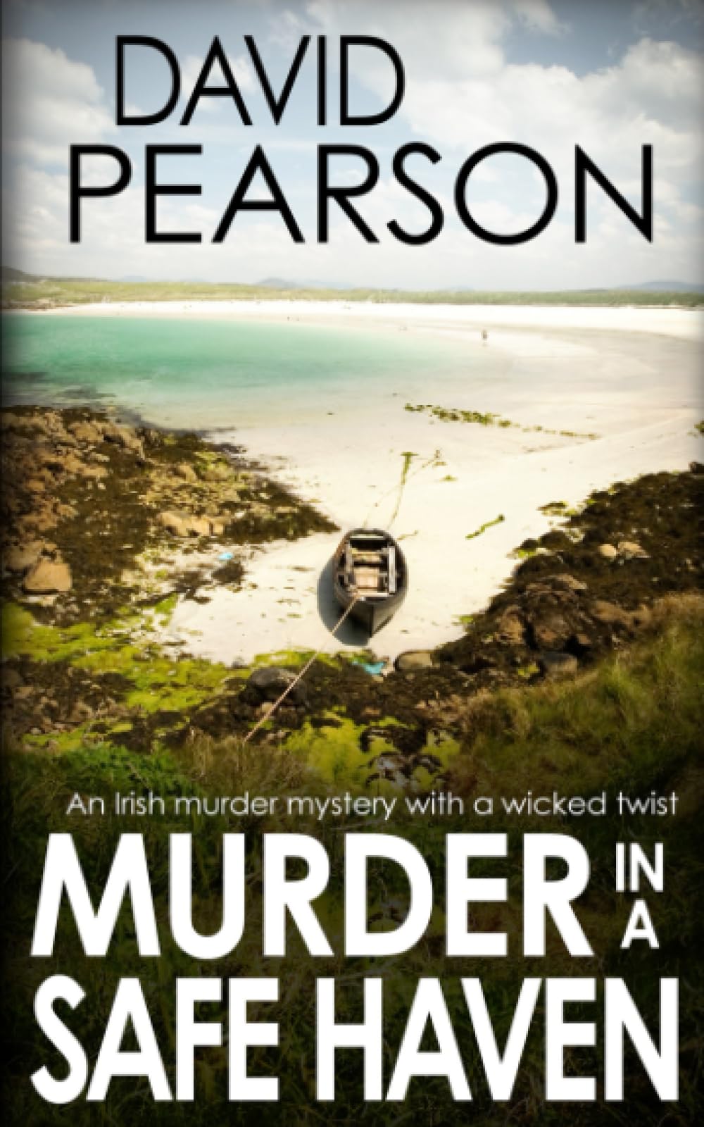 MURDER IN A SAFE HAVEN: An Irish murder mystery with a wicked twist book