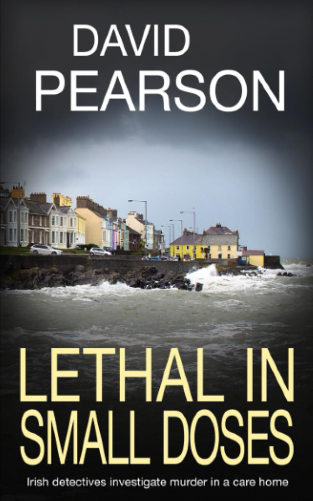 LETHAL IN SMALL DOSES: Irish detectives investigate murder in a care home (The Dublin Homicides, Band 4) Detective & CSI